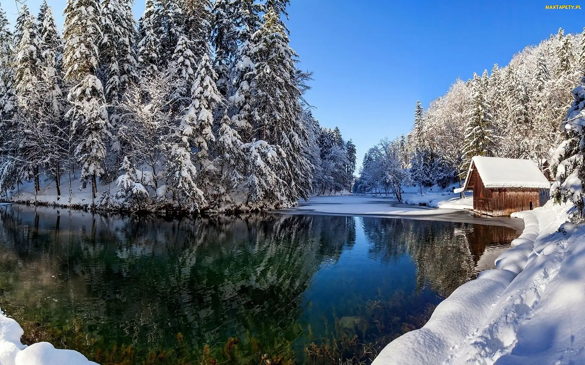 Rzeka, Szopa, Drewniana, Las, Zima