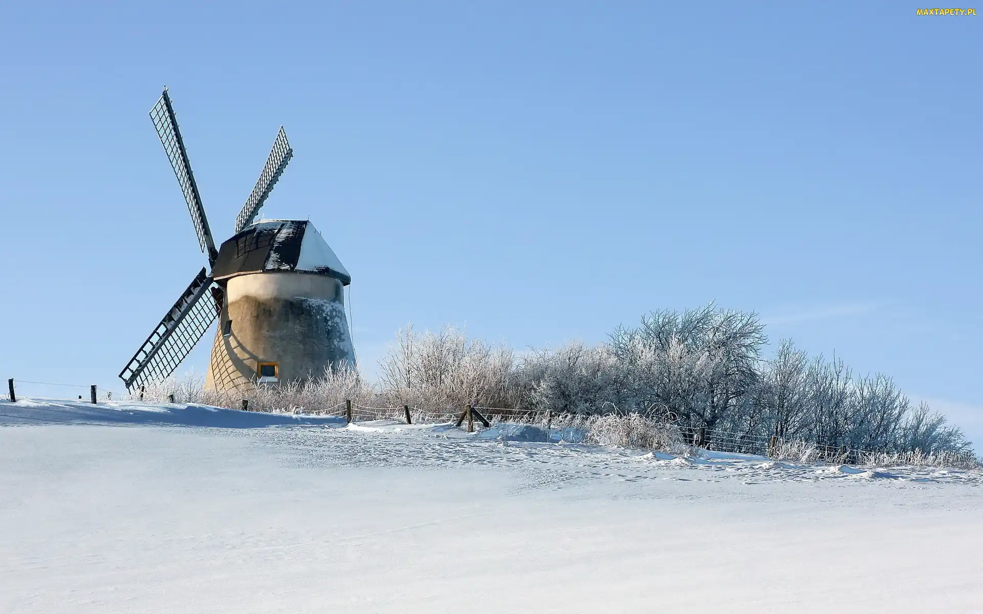 Śnieg, Drzewa, Wiatrak