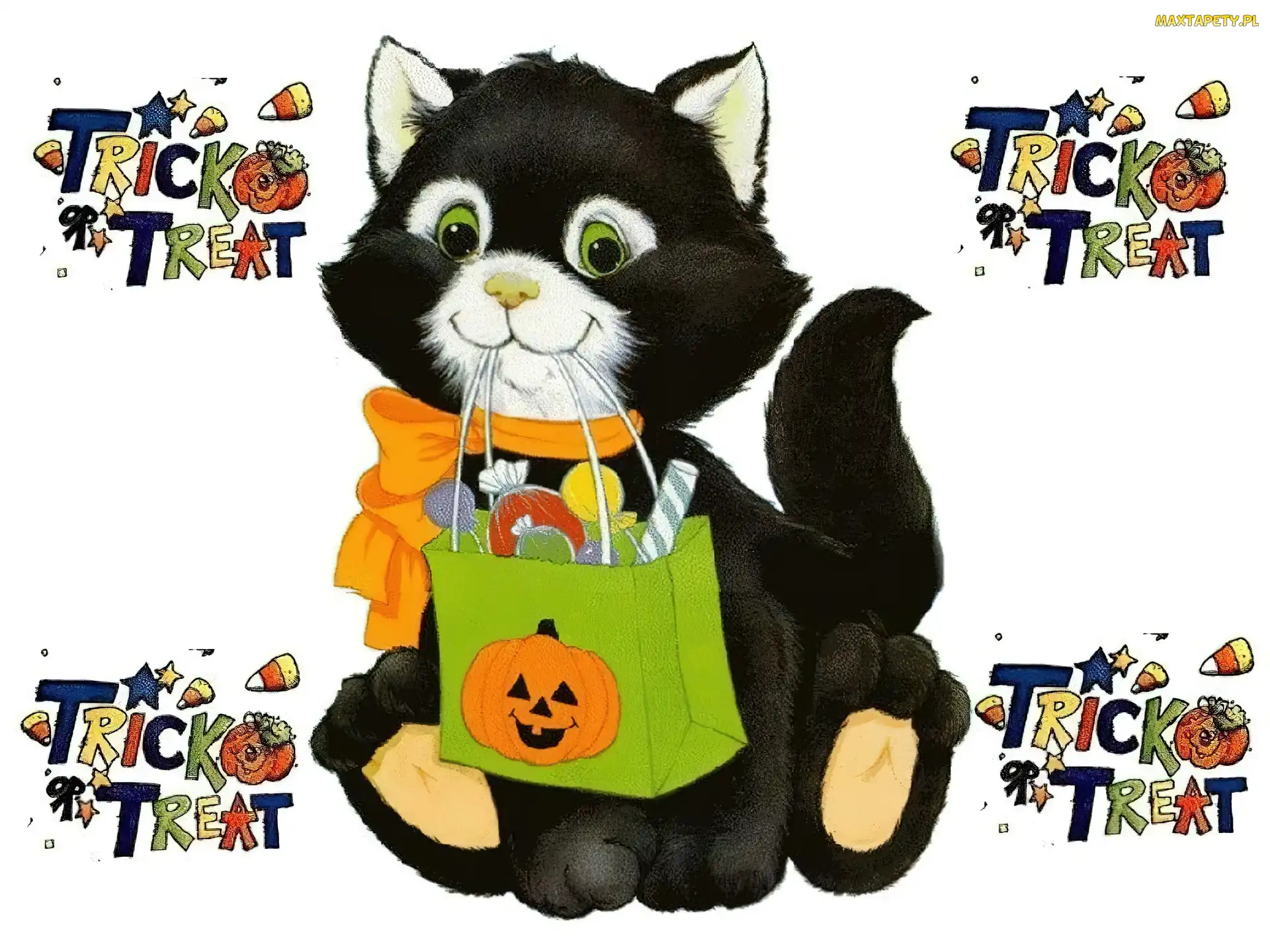 Halloween, koteczek