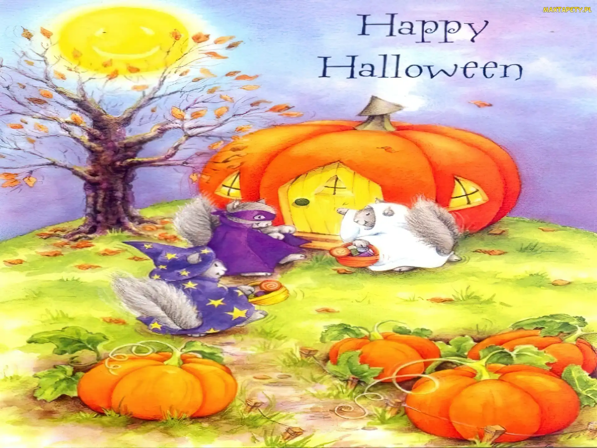 Halloween, dynia, wiewiórki