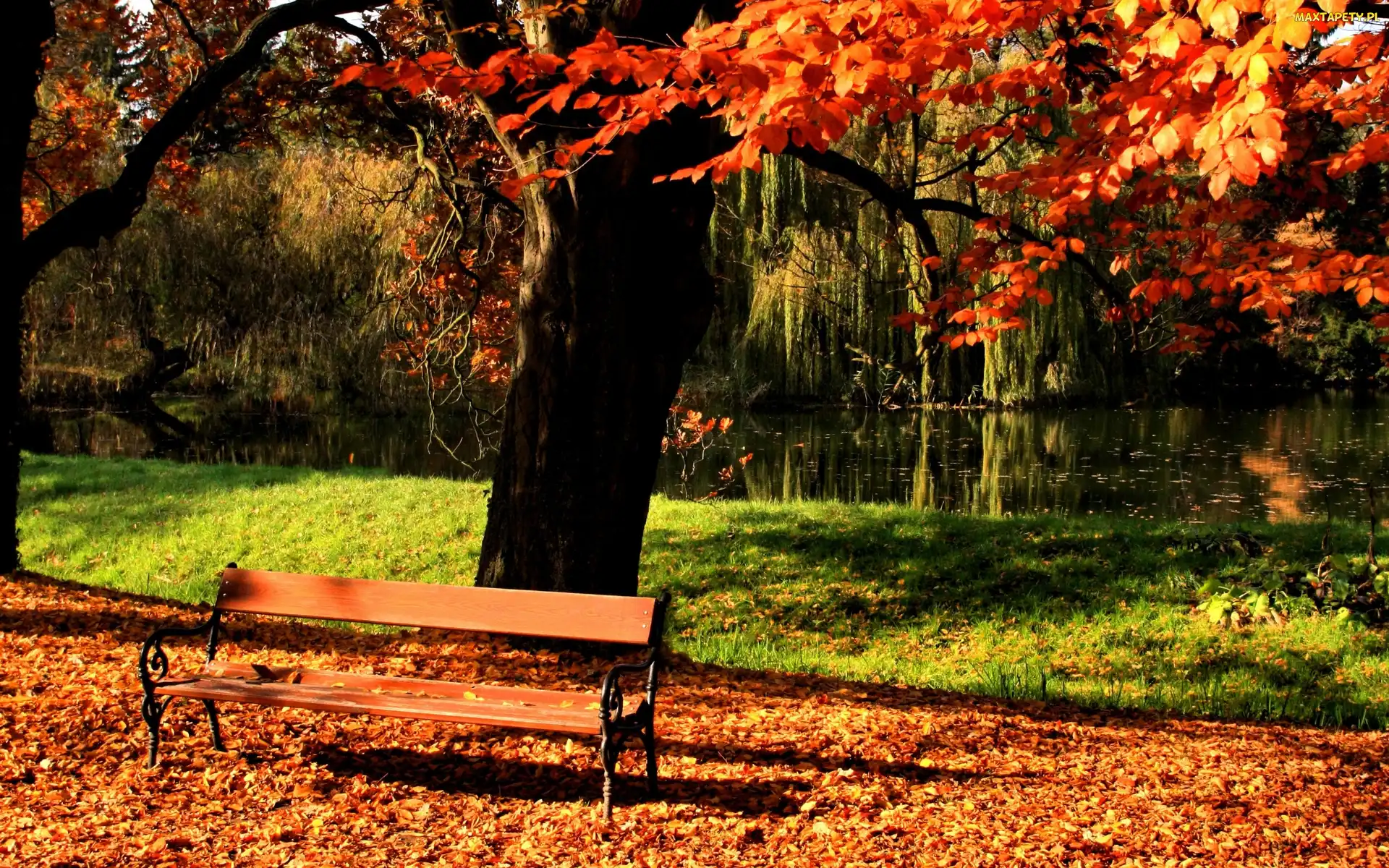 Park, Jesień, Ławka, Liście, Rzeka