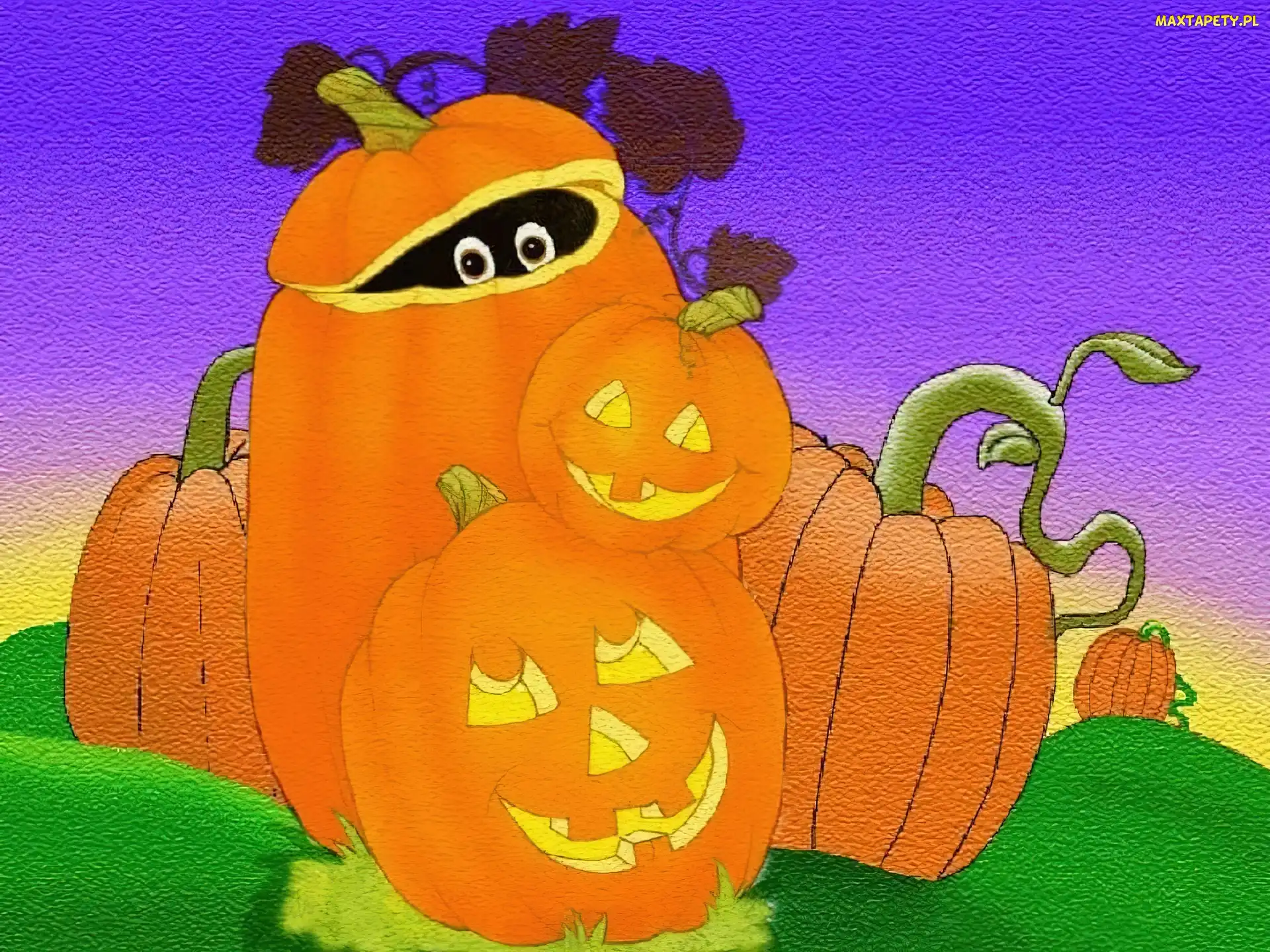 Halloween, wielkie dynie