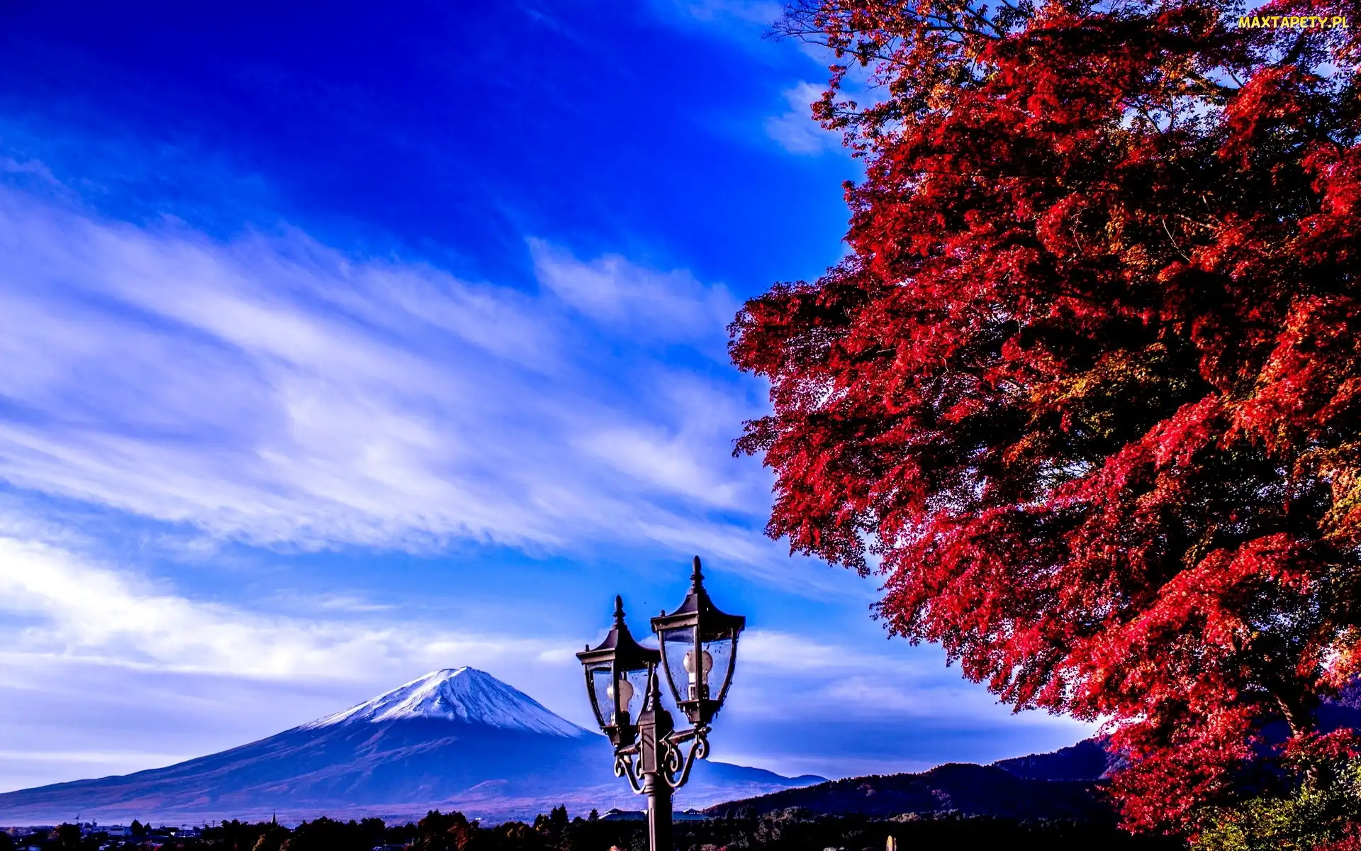 Fuji, Japonia, Lampa, Drzewo, Góra