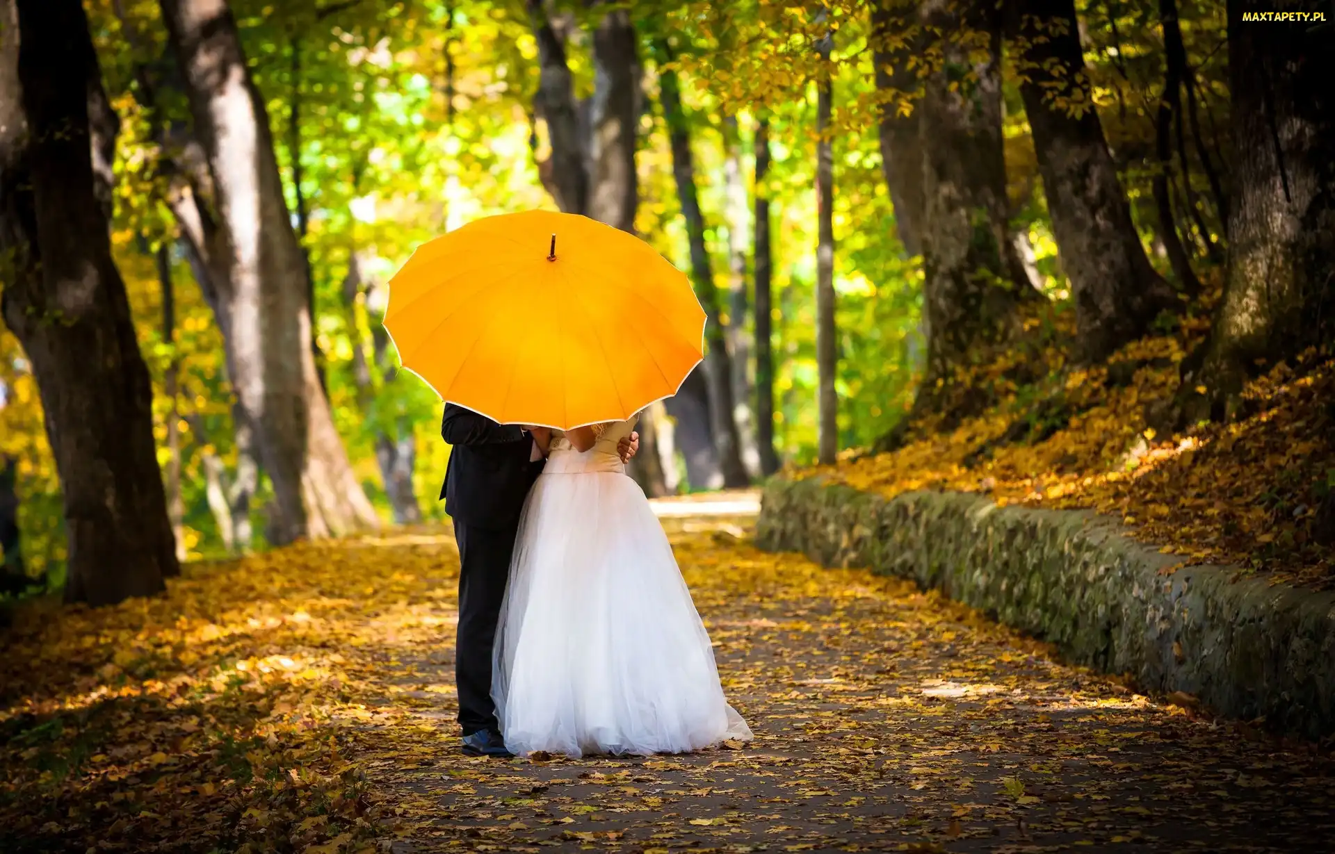 Jesień, Parasol, Młoda, Para
