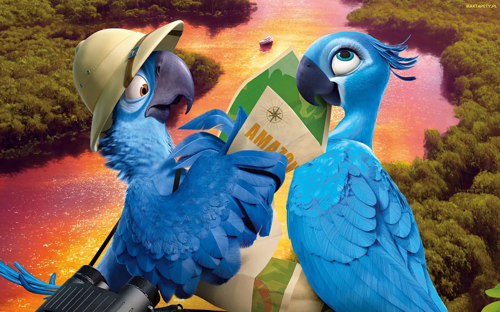 Kapelusz, Rzeczka, Rio2, Papużki