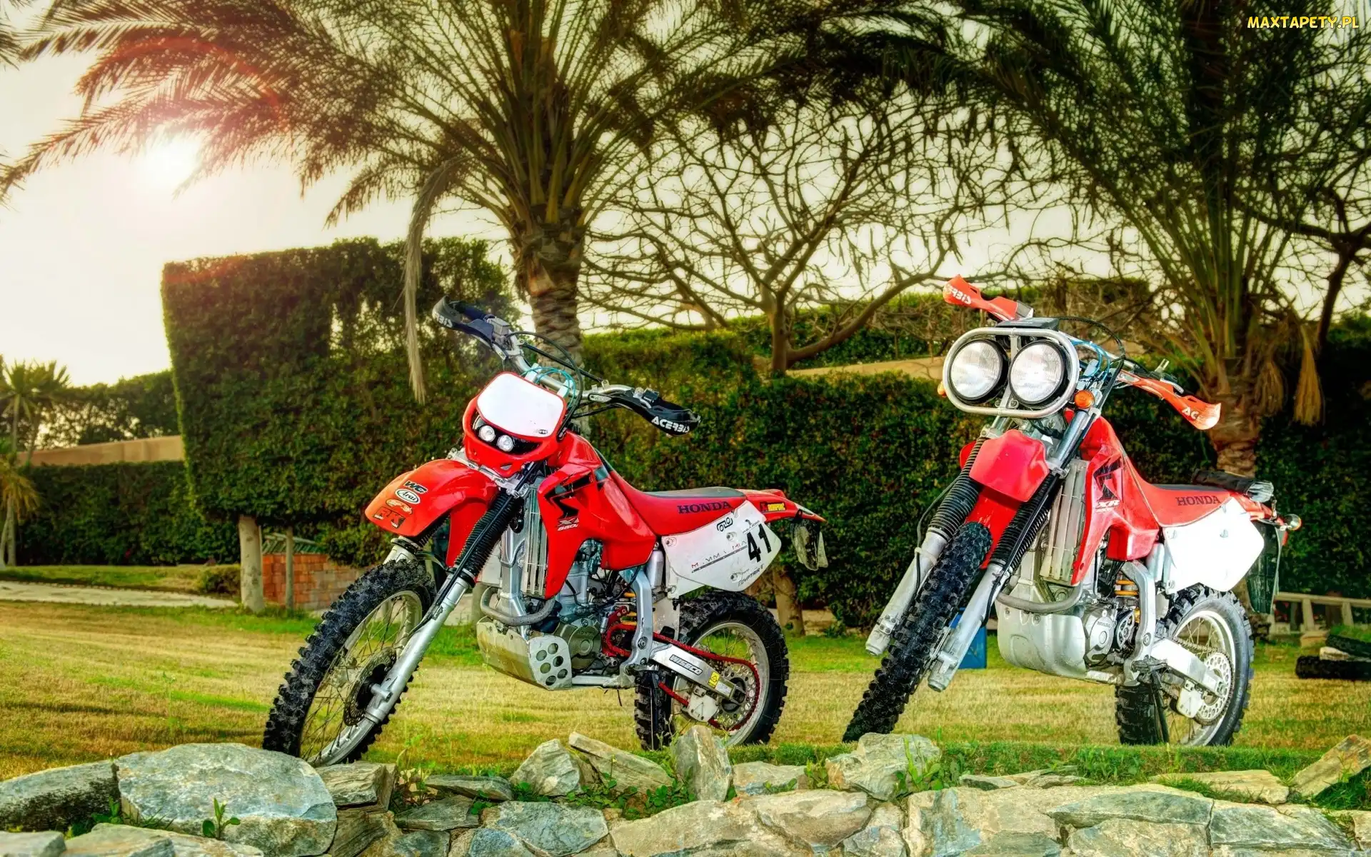 Dwa, Kamienie, Honda XR, Palmy, Motocykle