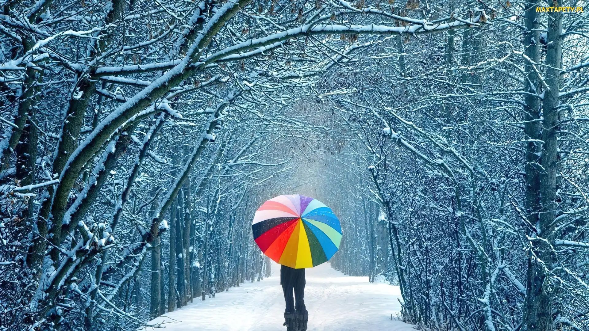 Parasol, Dziewczyna, Droga, Śnieg