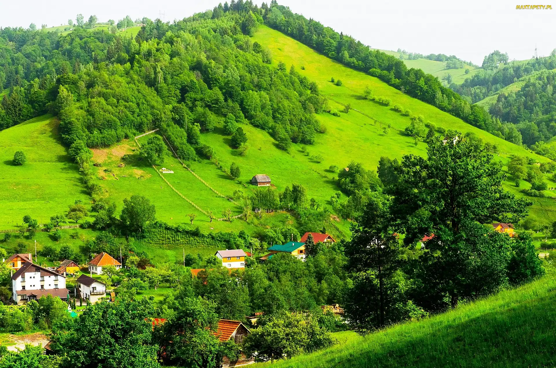 Norwegia, Domy, Góry, Lasy