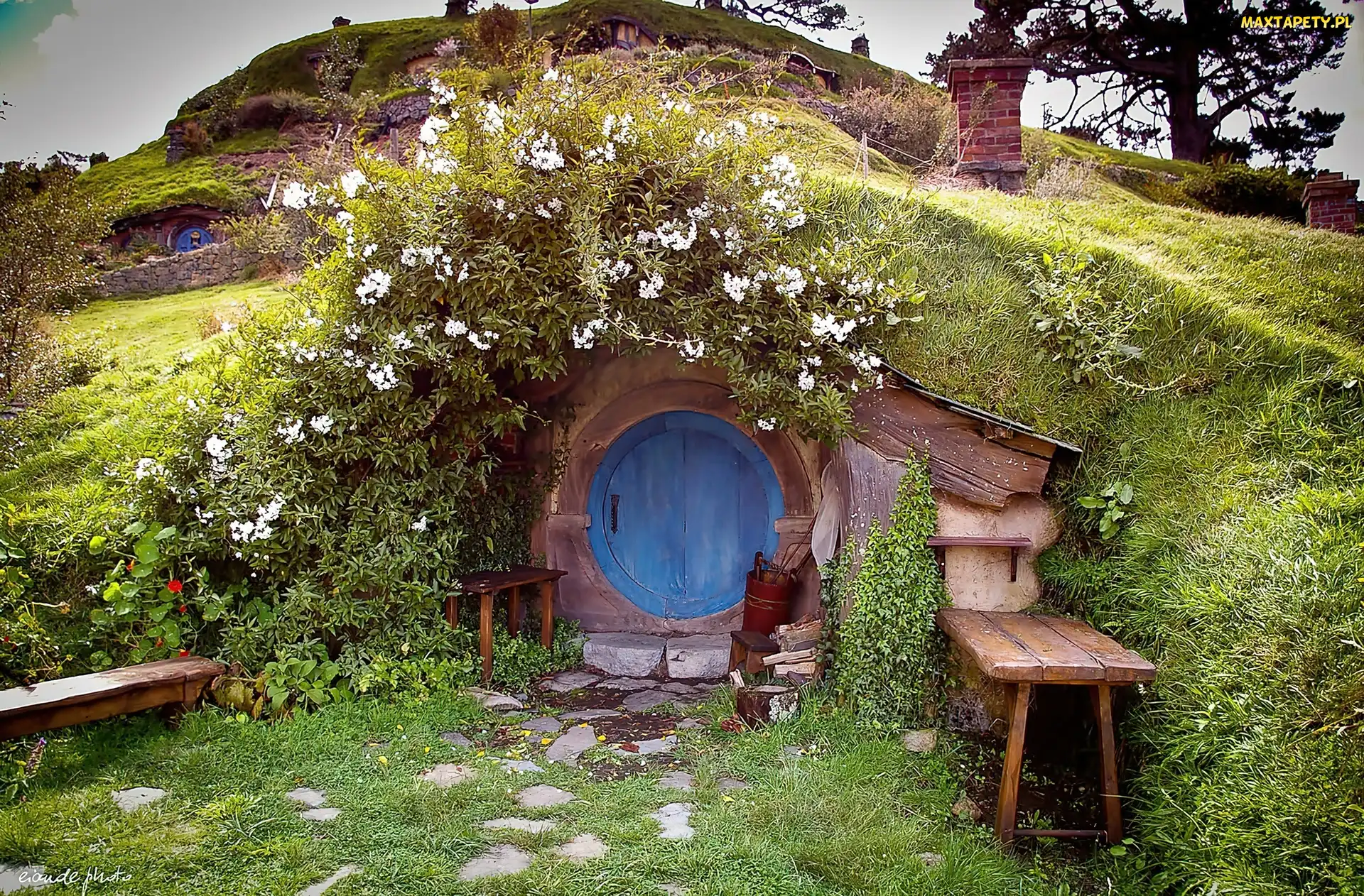 Hobbita, Roślinność, Domek