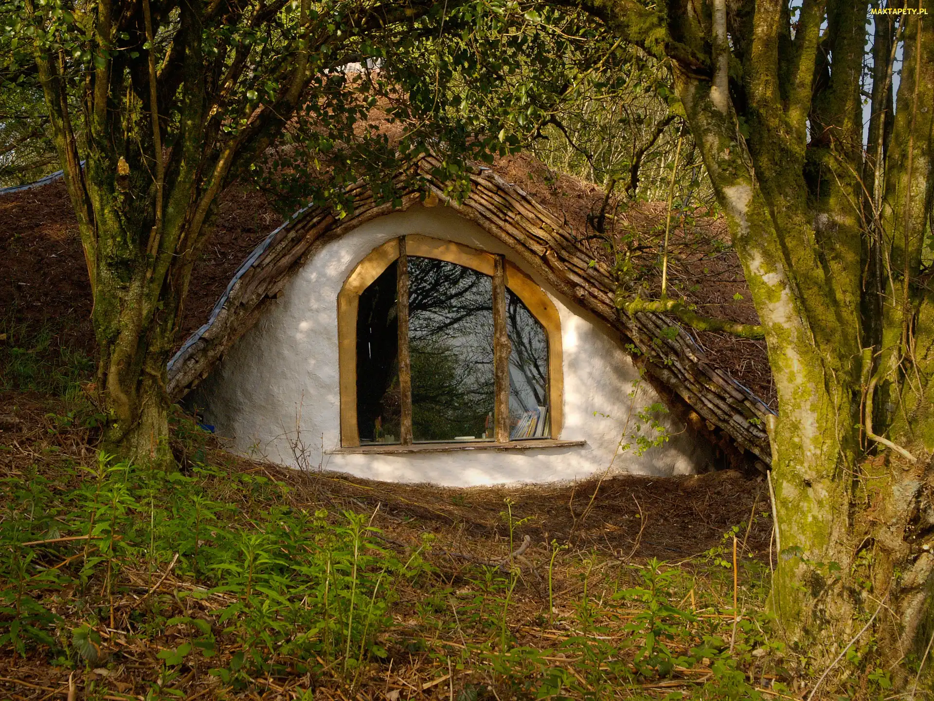 Ziemny, Hobbit, Domek