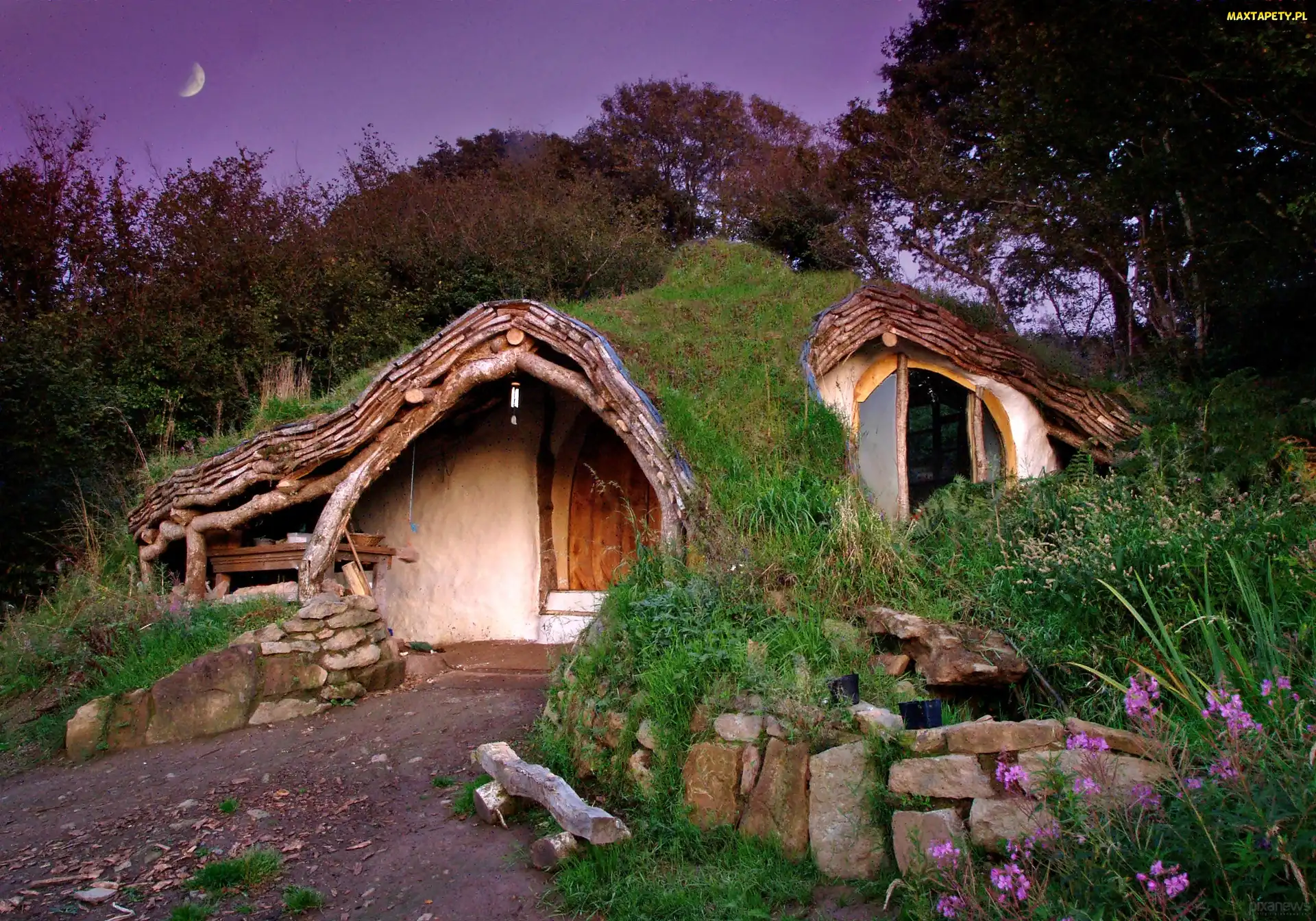 Księżyc, Roślinność, Hobbita, Domek, Noc