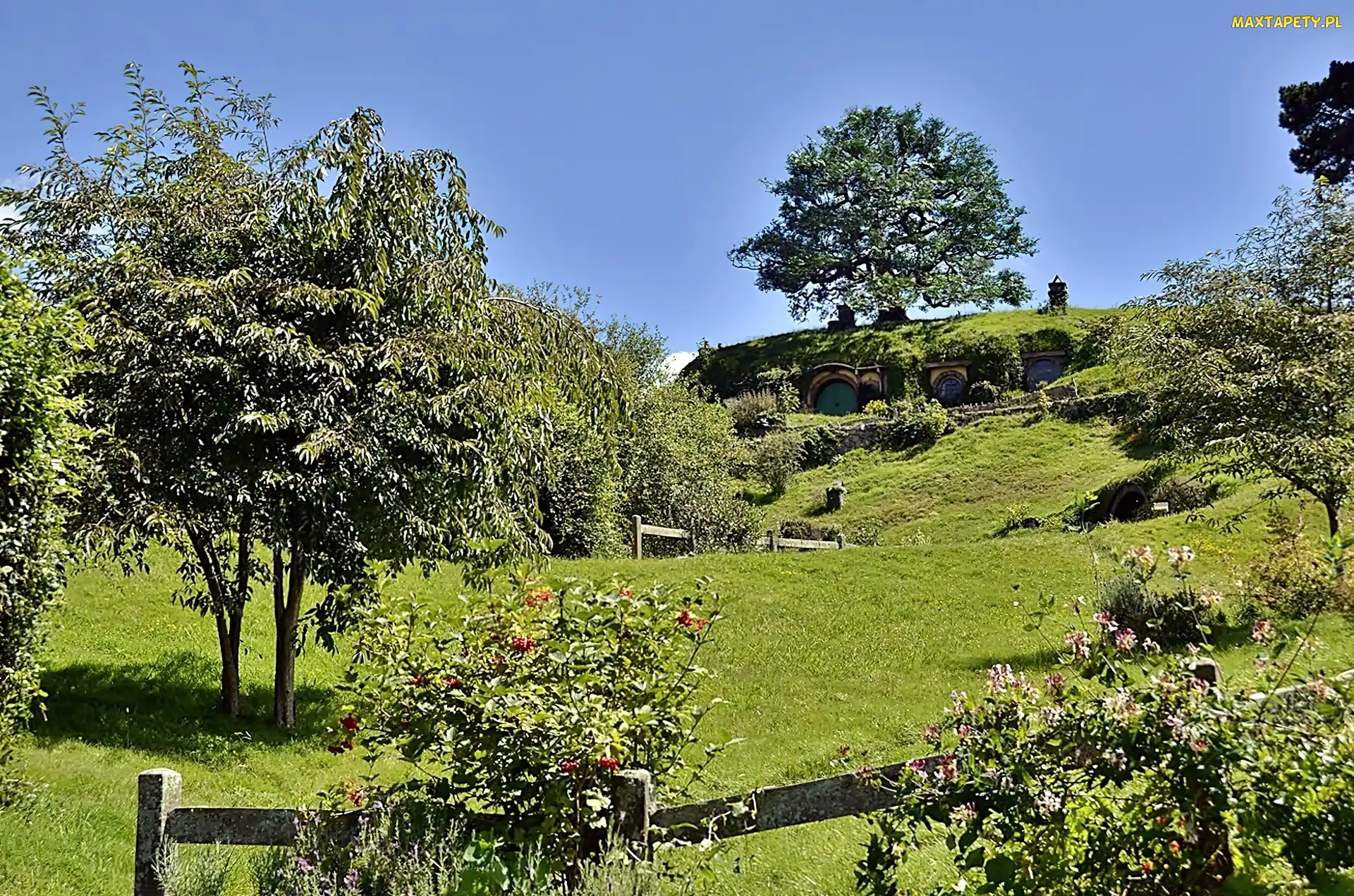 Domek, Ogródek, Łąka, Hobbita