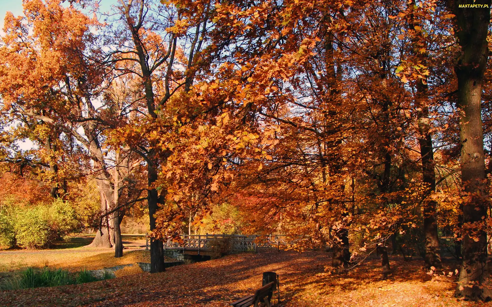 Jesień, Park, Mostek, Rzeczka, Alejki, Ławka