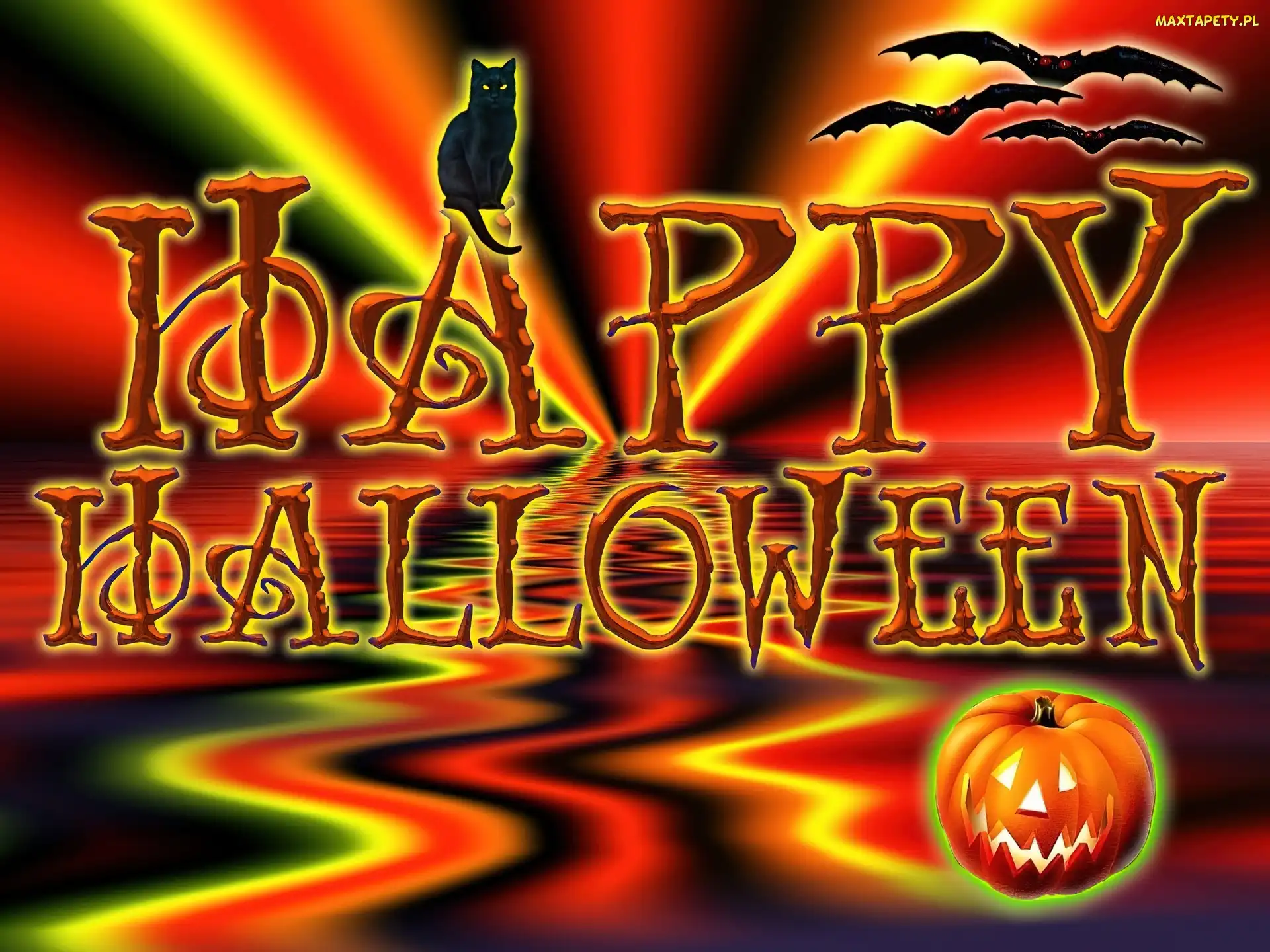 Kot, dynia, Halloween