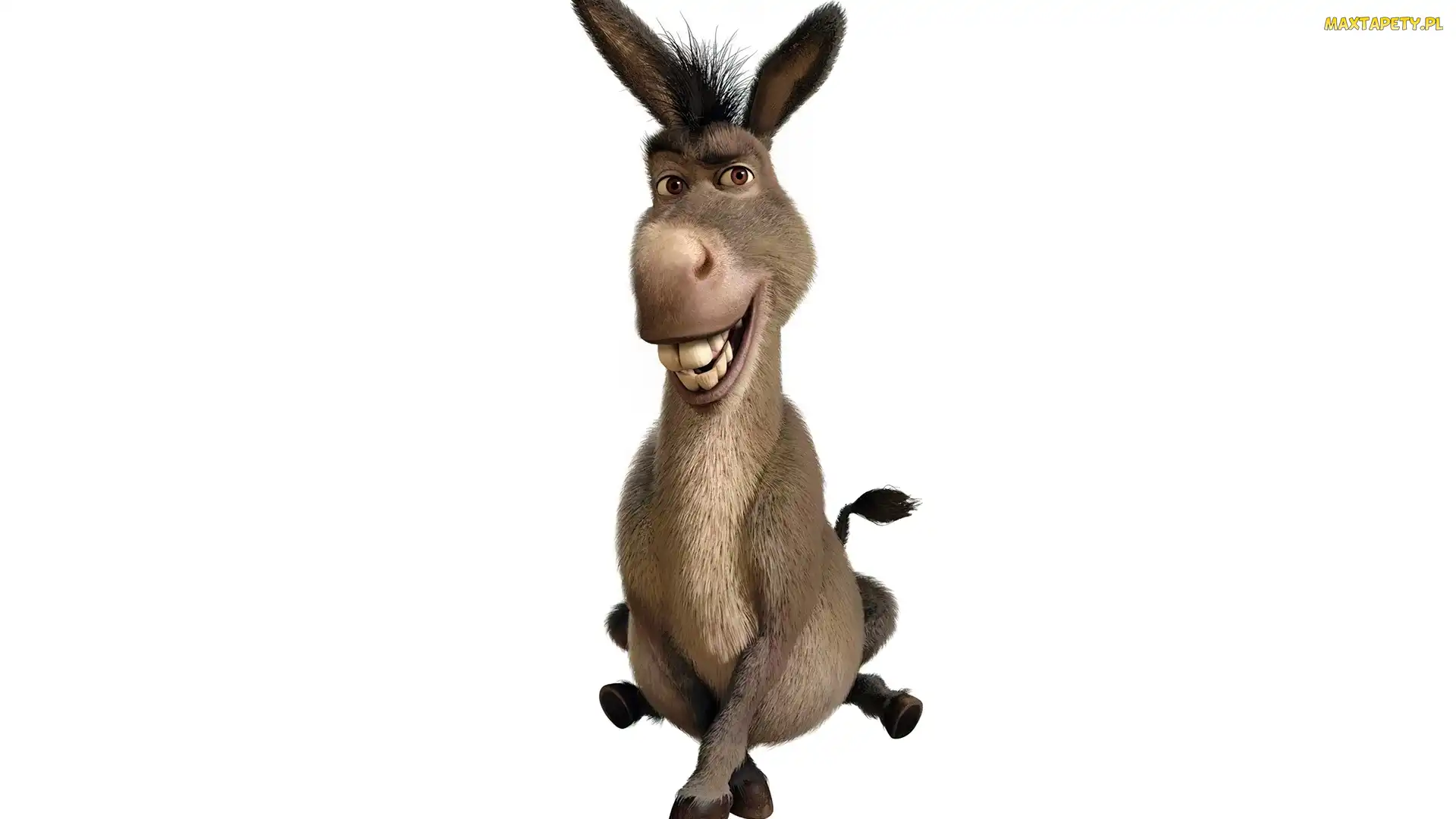 Shrek, Osioł