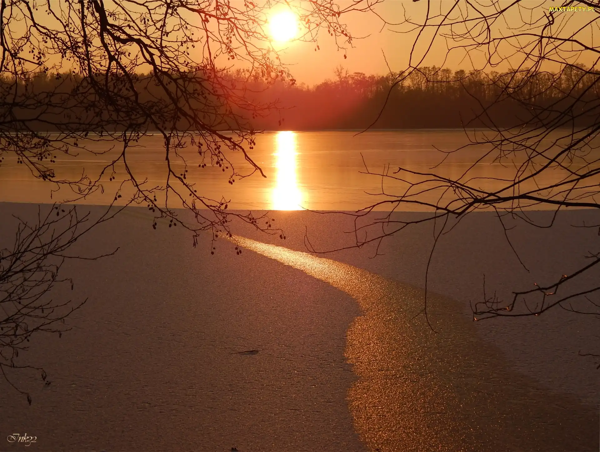 Gałęzie, Lód, Zachód Słońca, Jezioro