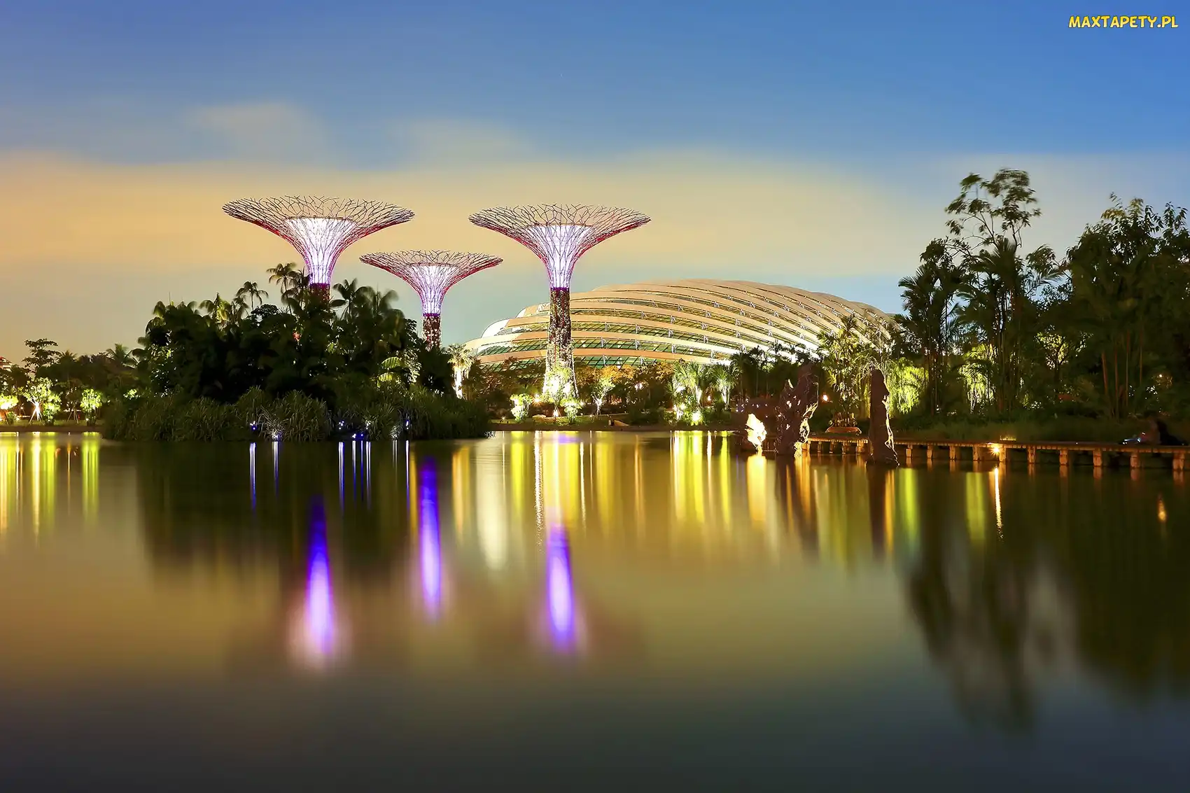 Ogród, Botaniczny, Singapur
