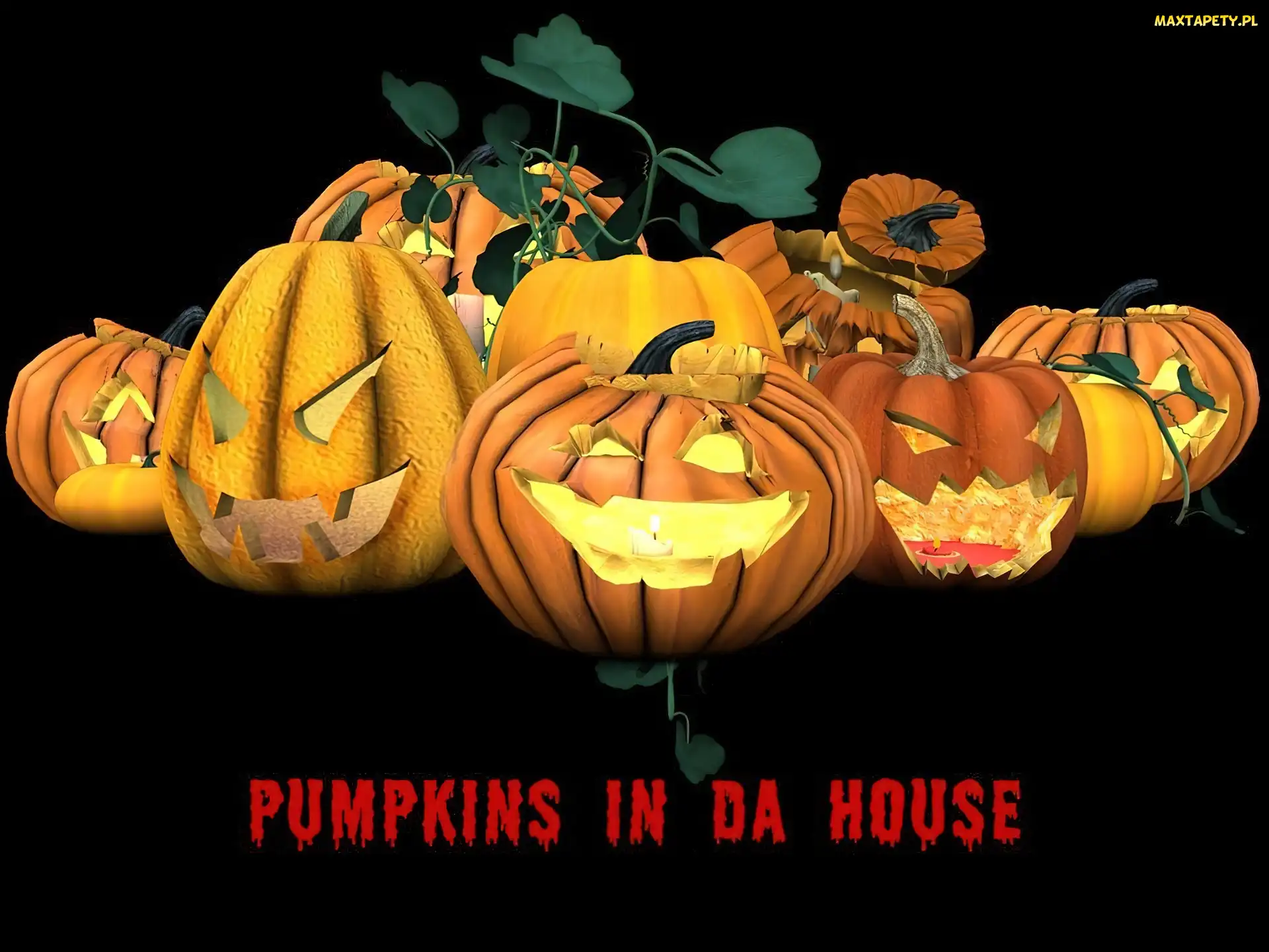 Halloween, dynie
