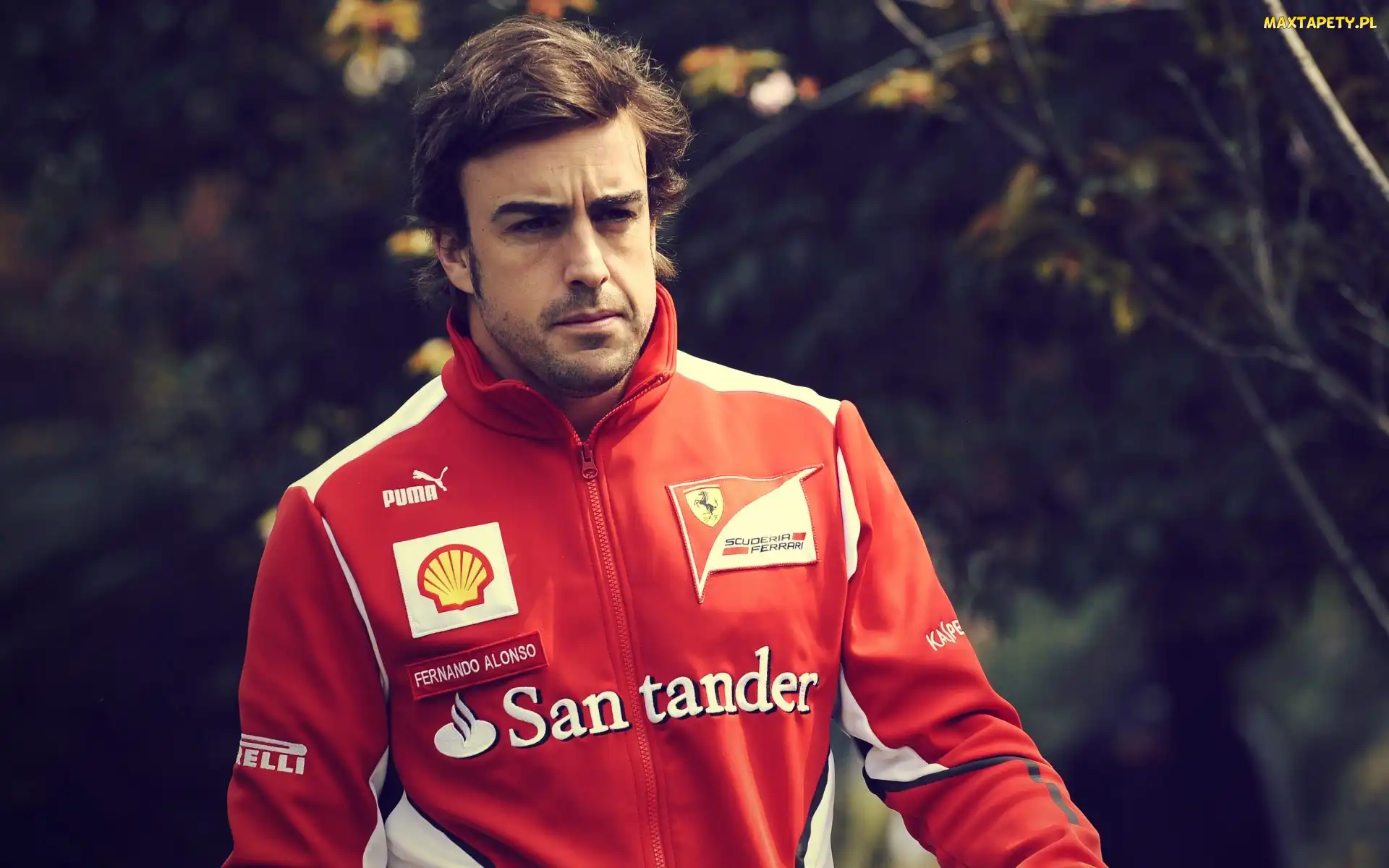 Sportowa, Bluza, Fernando Alonso