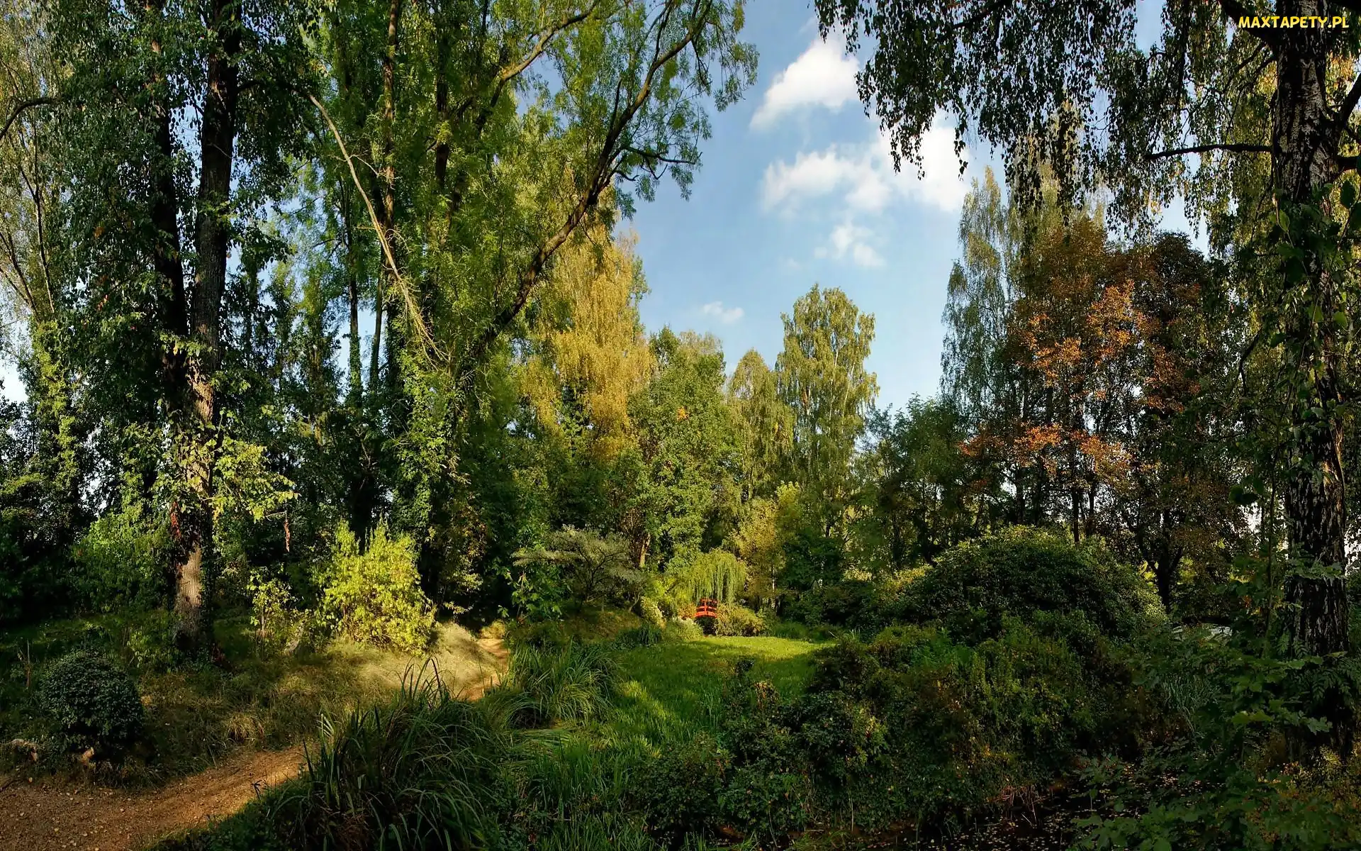 Cień, Światło, Czerwony, Drzewa, Obłoki, Park, Mostek