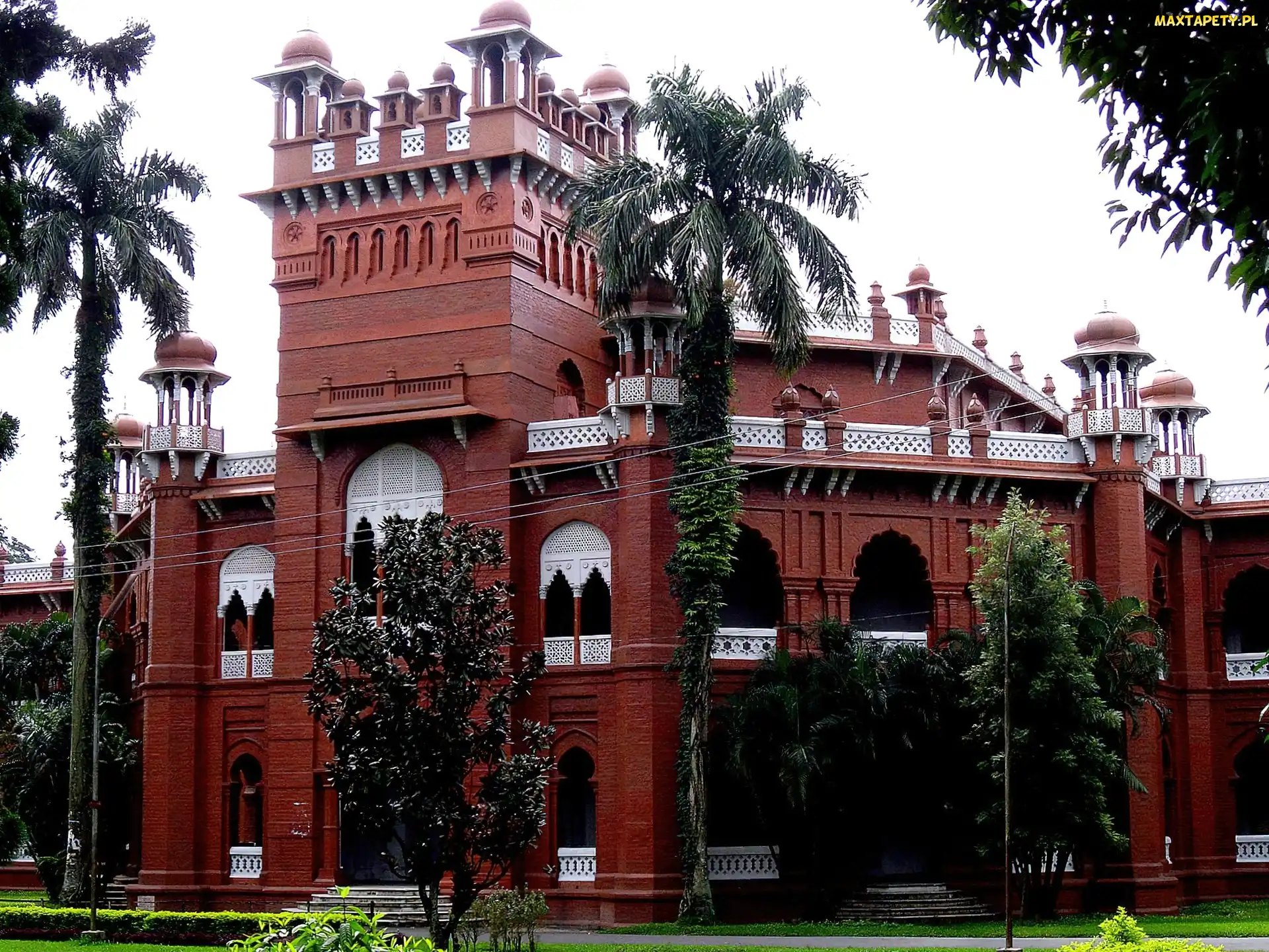 Palmy, Budynek, Bangladesz, Dhaka