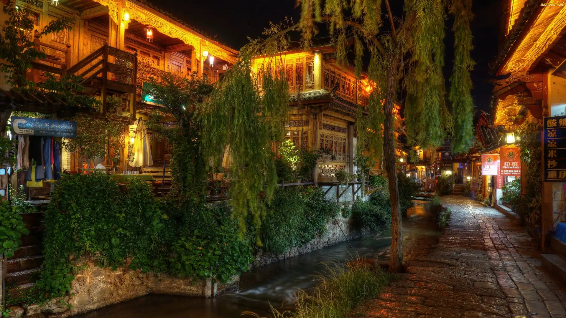 Uliczka, Rośliny, Drzewo, Restauracja, Chiny