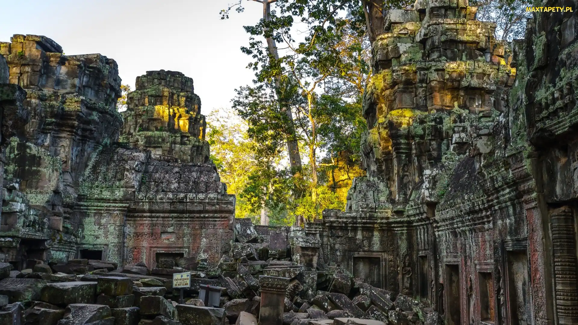 Angkor wat, Drzewa, Ruiny, Świątynia, Kambodża