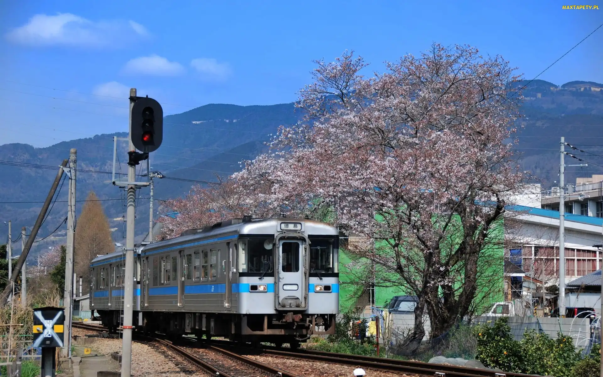 Pociąg, Drzewa, Japonia