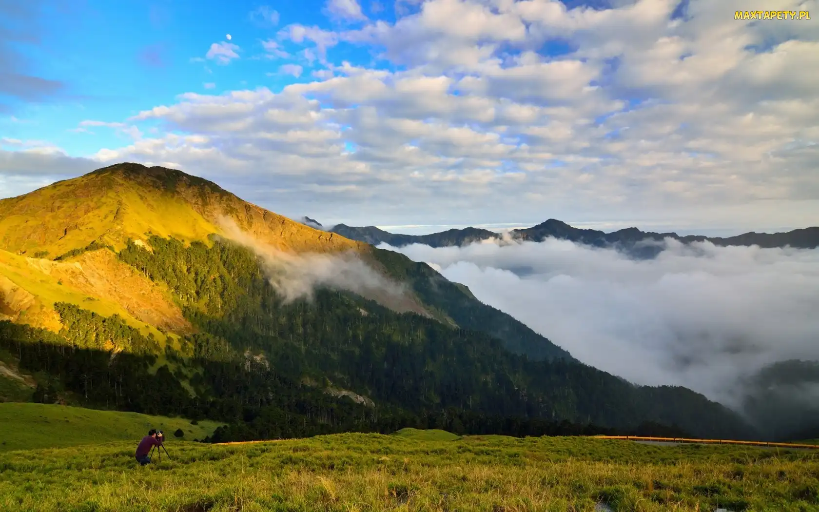 Mężczyzna, Fotograf, Mgła, Góry, Lasy, Polana