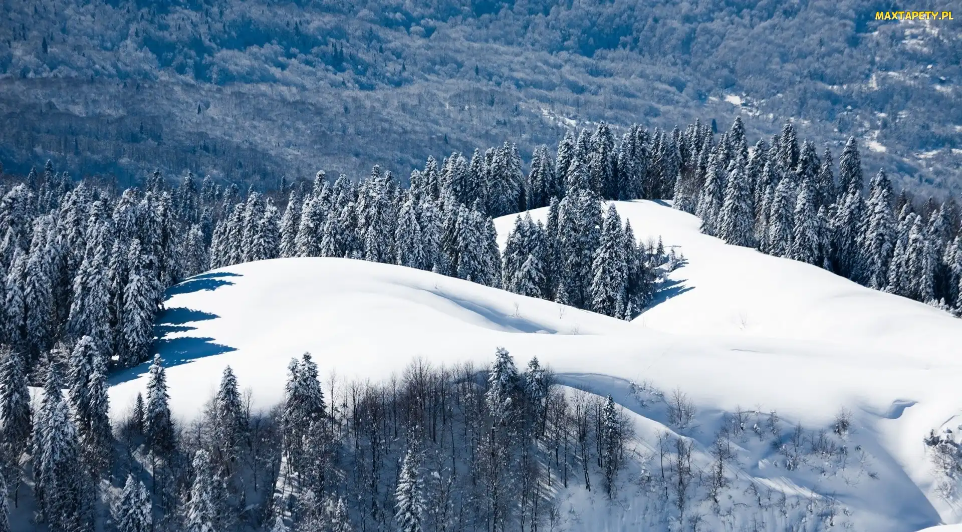 Góry, Lasy, Zima