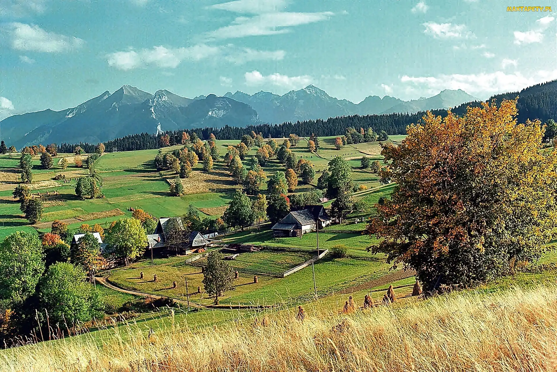 Wieś, Pola, Tatry, Lasy