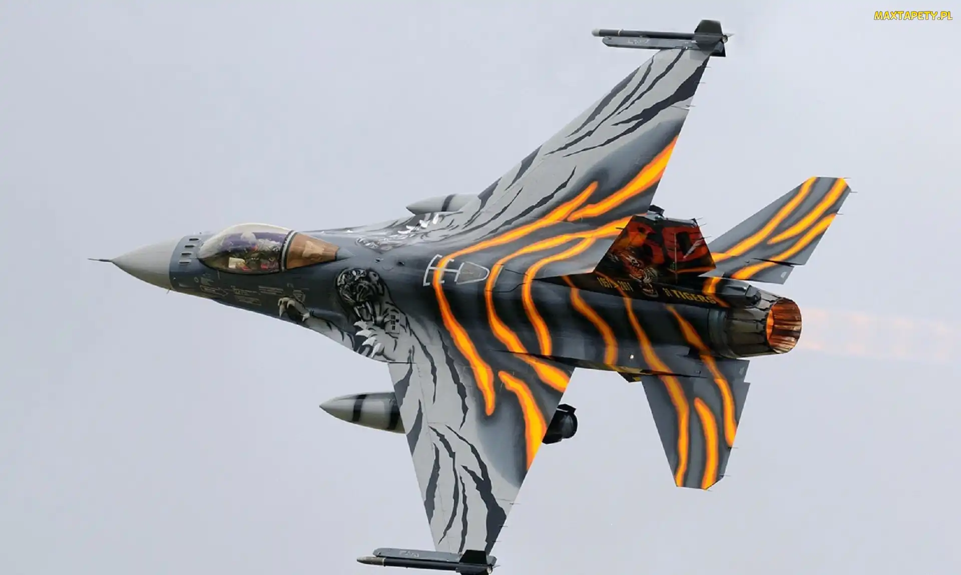 F-16, Maskowani, Myśliwiec