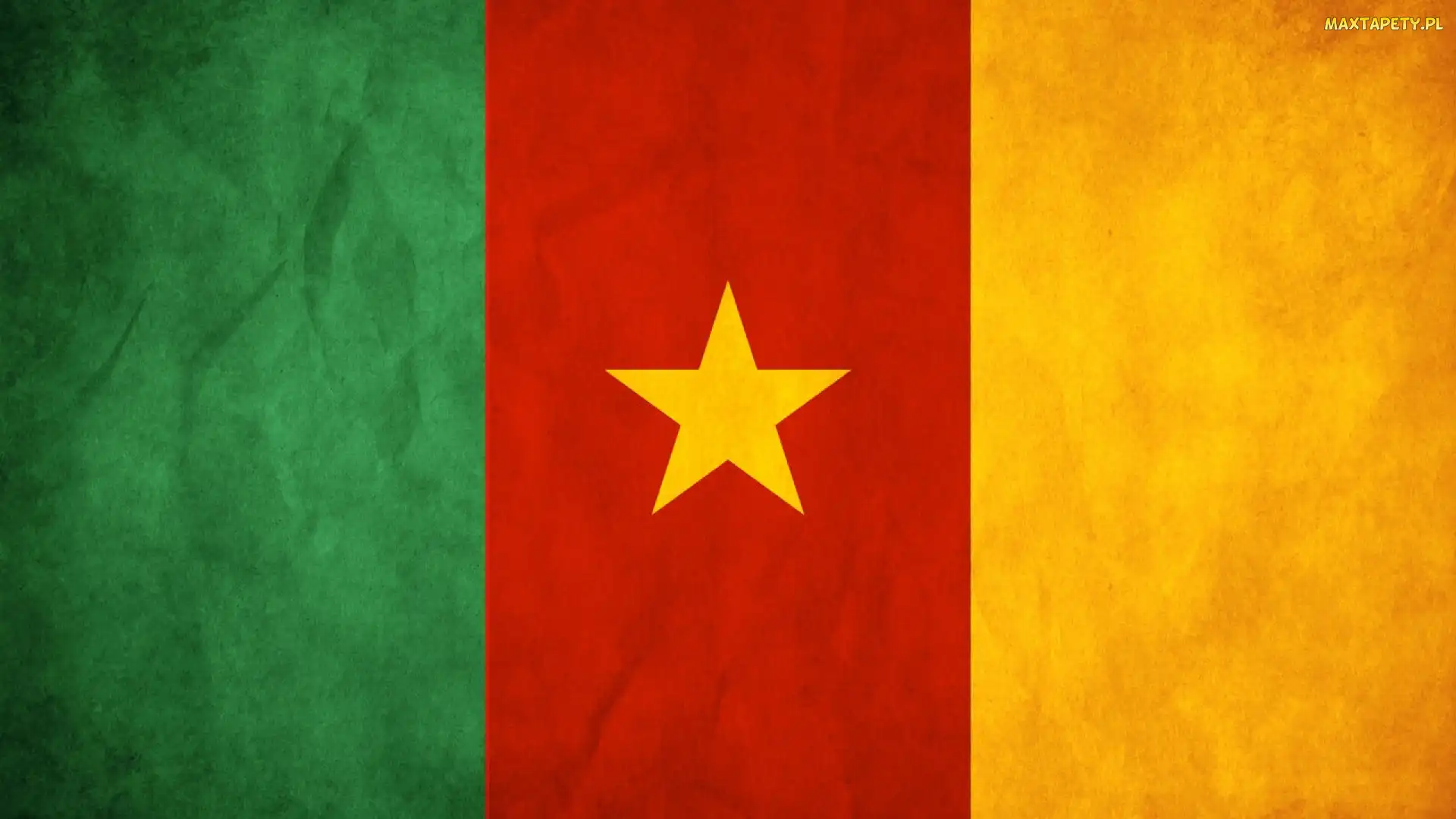 Kamerun, Flaga