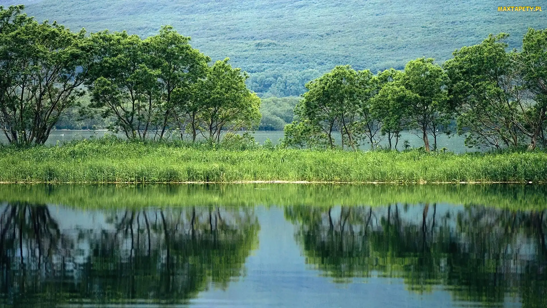Jezioro, Drzewa, Odbicie