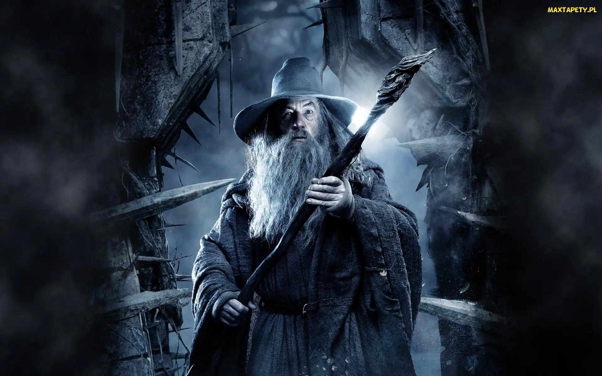 Ian McKellen, Gandalf, Hobbit, Pustkowie Smauga