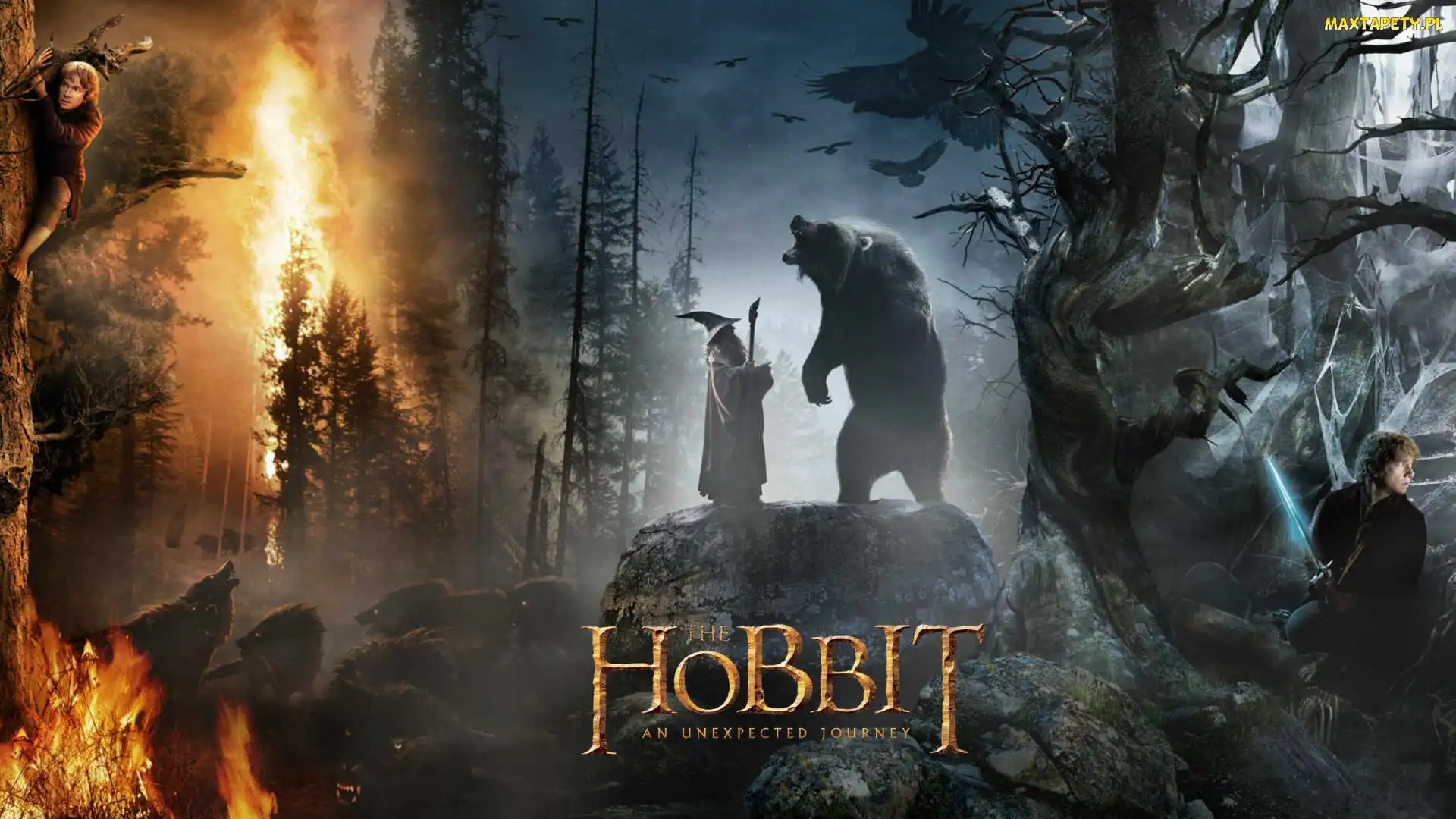 Bilbo, Gandalf, Hobbit, Pustkowie Smauga