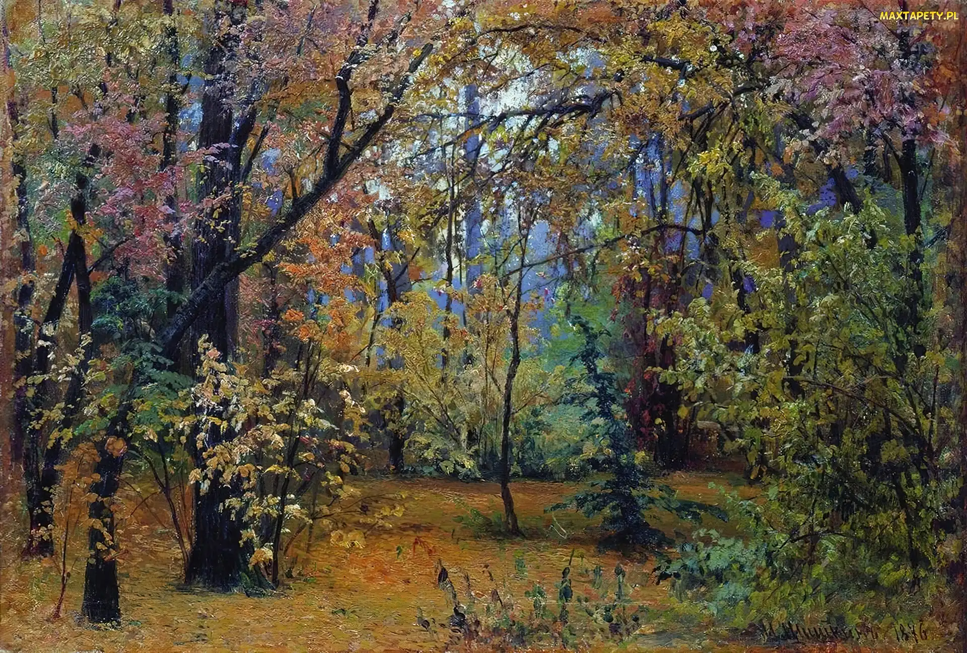Szyszkin, Las, Iwan
