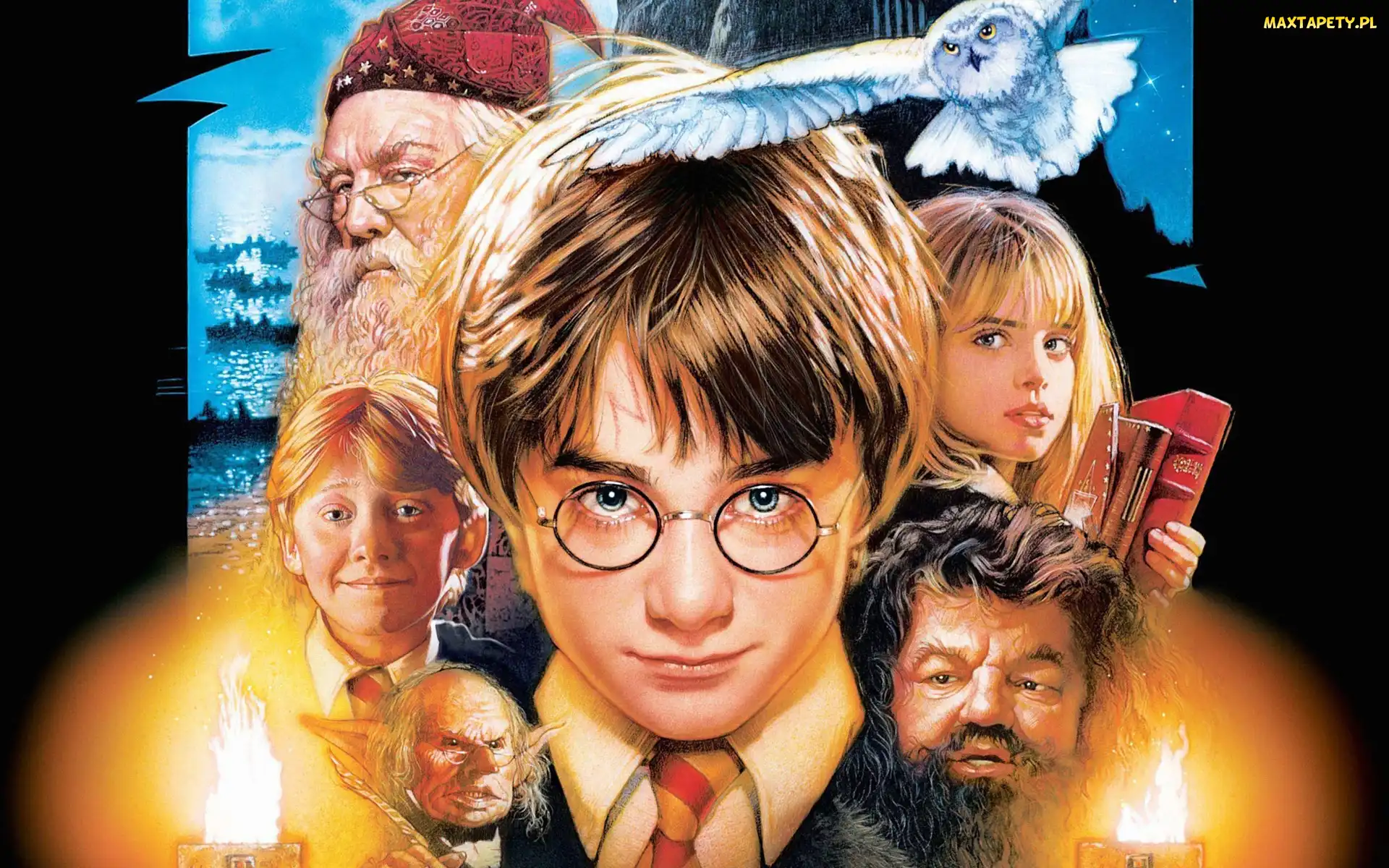 Potter, Bohaterowie, Harry