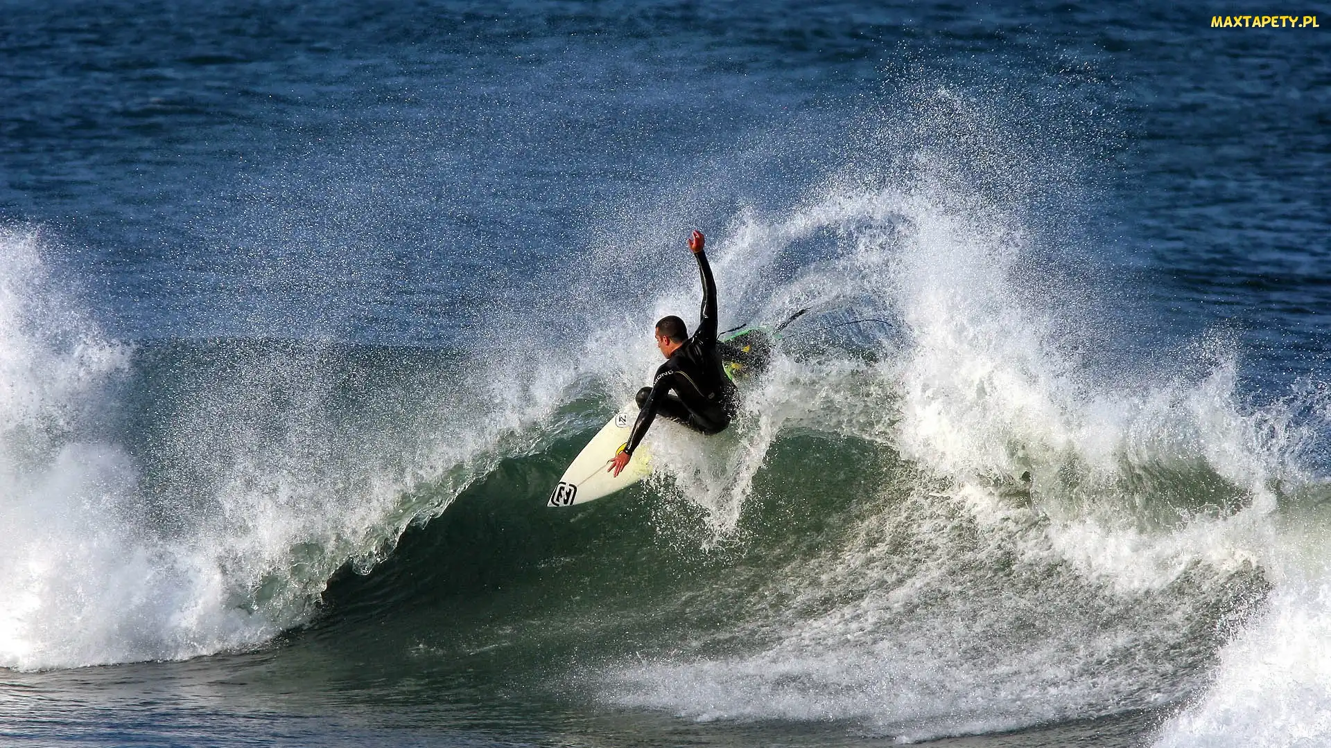 Surfing, Fala, Mężczyzna, Morze