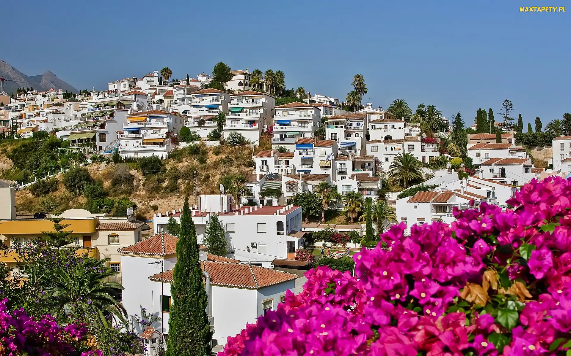 Del Sol, Palmy, Costa, Wille, Kwitnąca, Nerja, Bugenwilla, Cyprysy