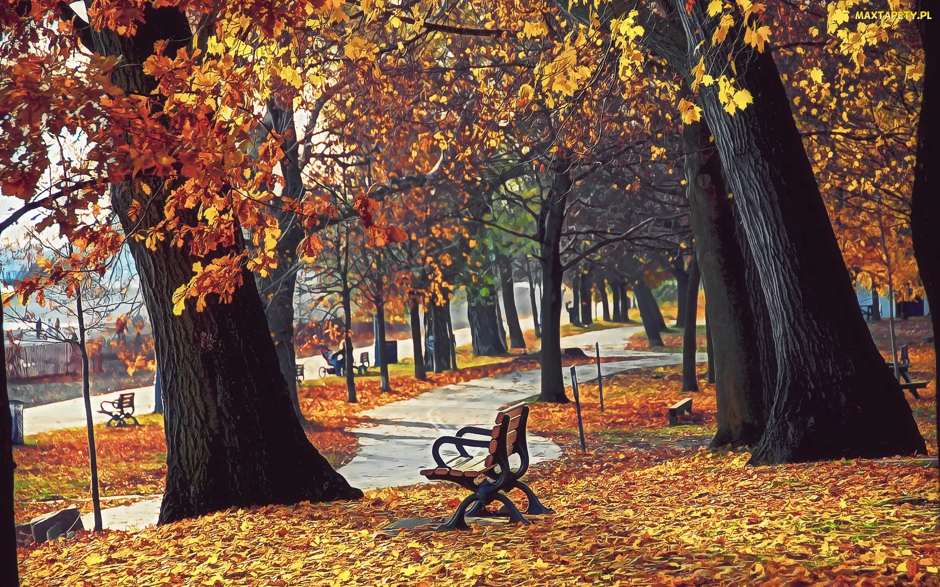 Park, Rozmycie, Opadłe, Liście, Ławeczki