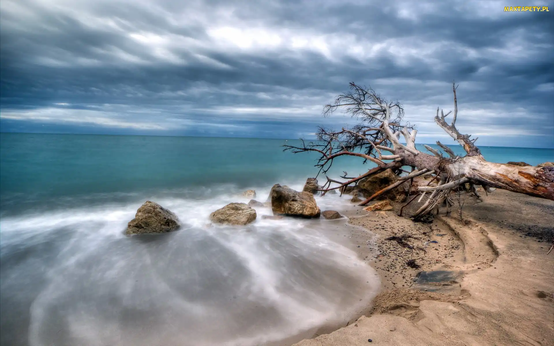 Morze, Drzewo, Plaża