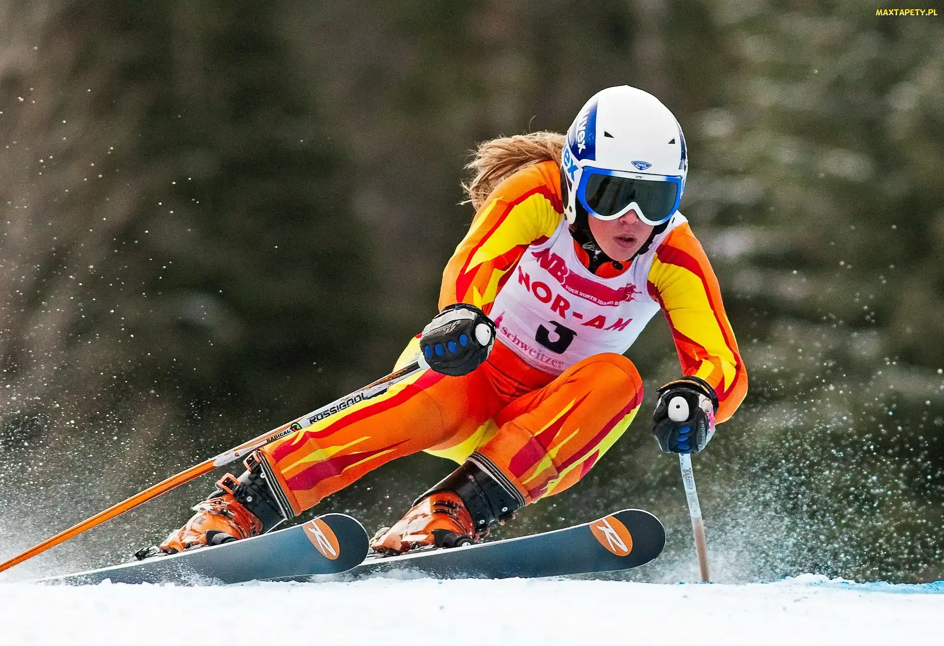 Zawodniczka, Narciarstwo, Sochi2014