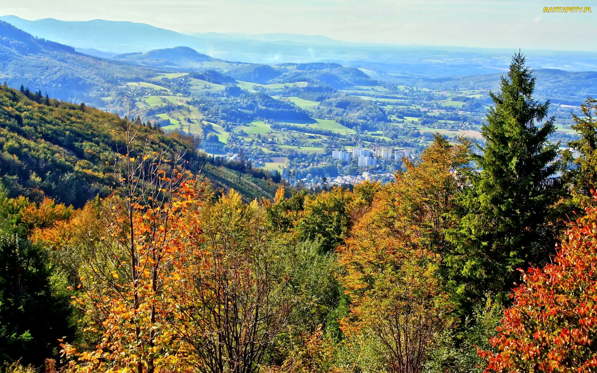 Góry, Ustronia, Śląski, Las, Panorama, Beskid, W Dolinie
