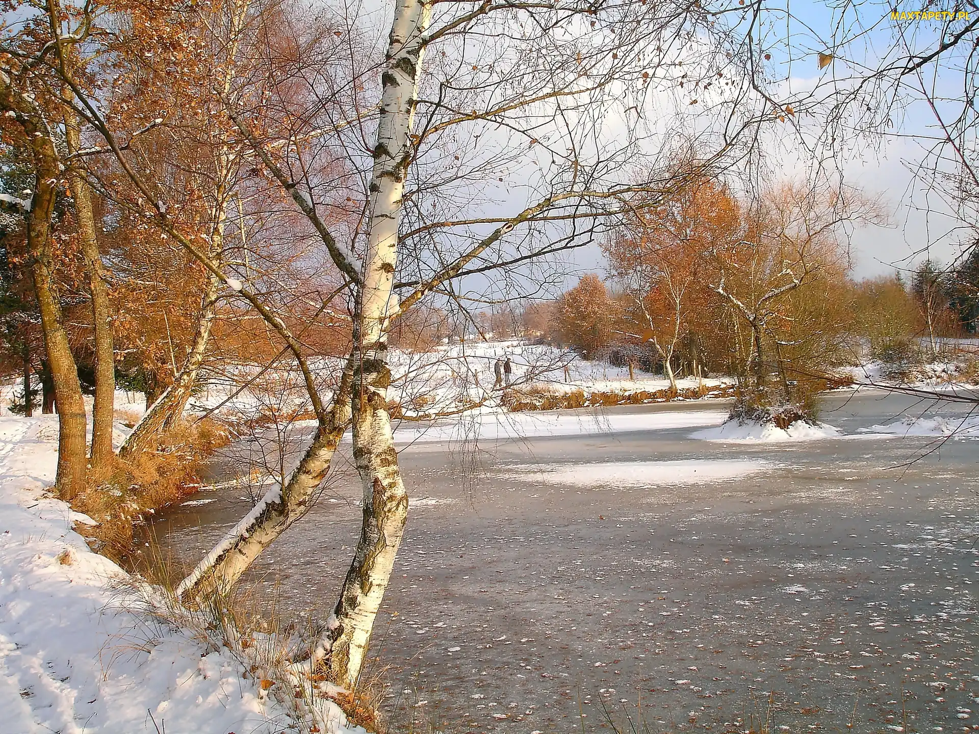 Zima, Jezioro, Słońca, Park, Zachód