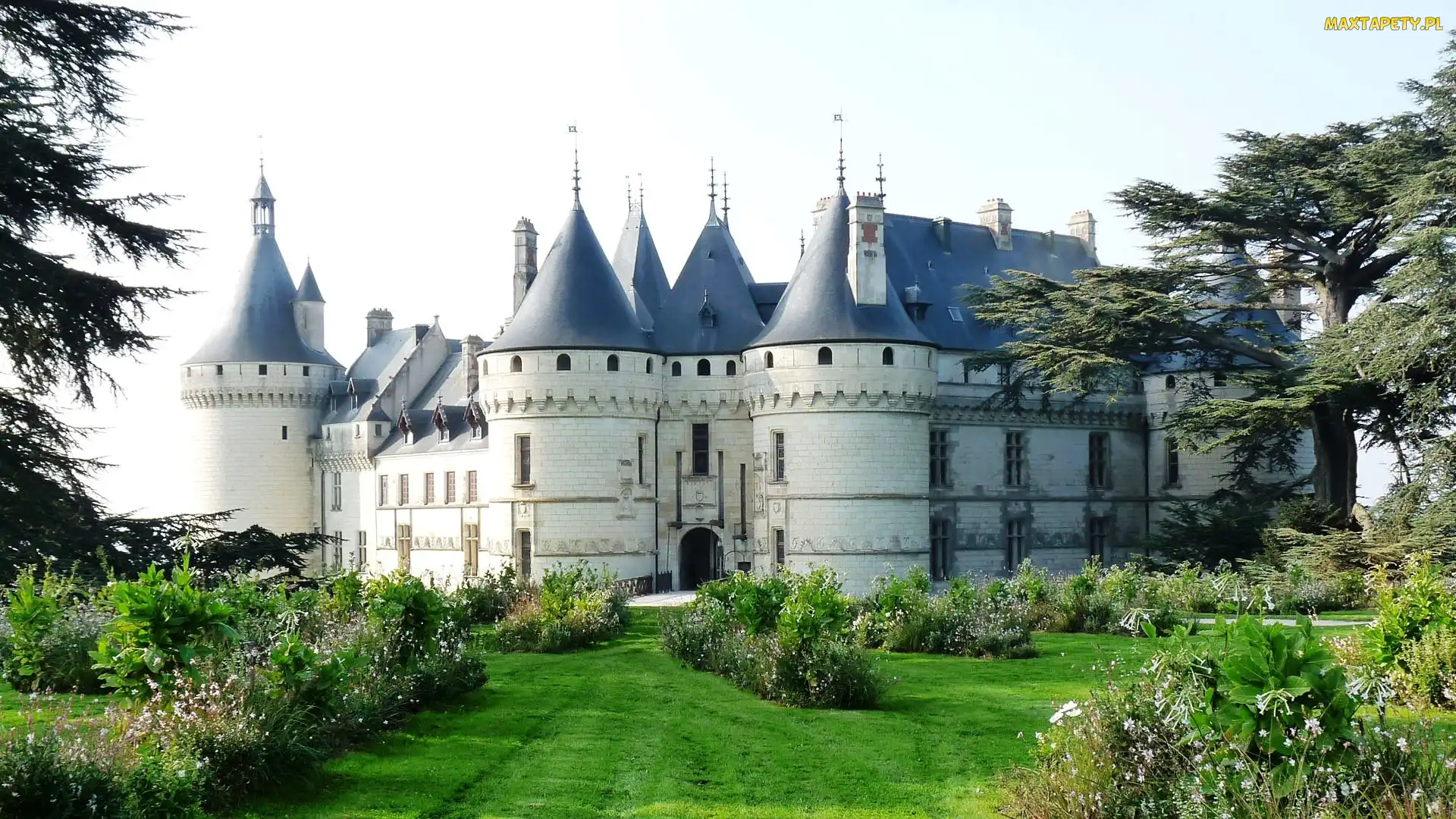 Zamek, Francja, Ogród, Chaumont Sur Loire