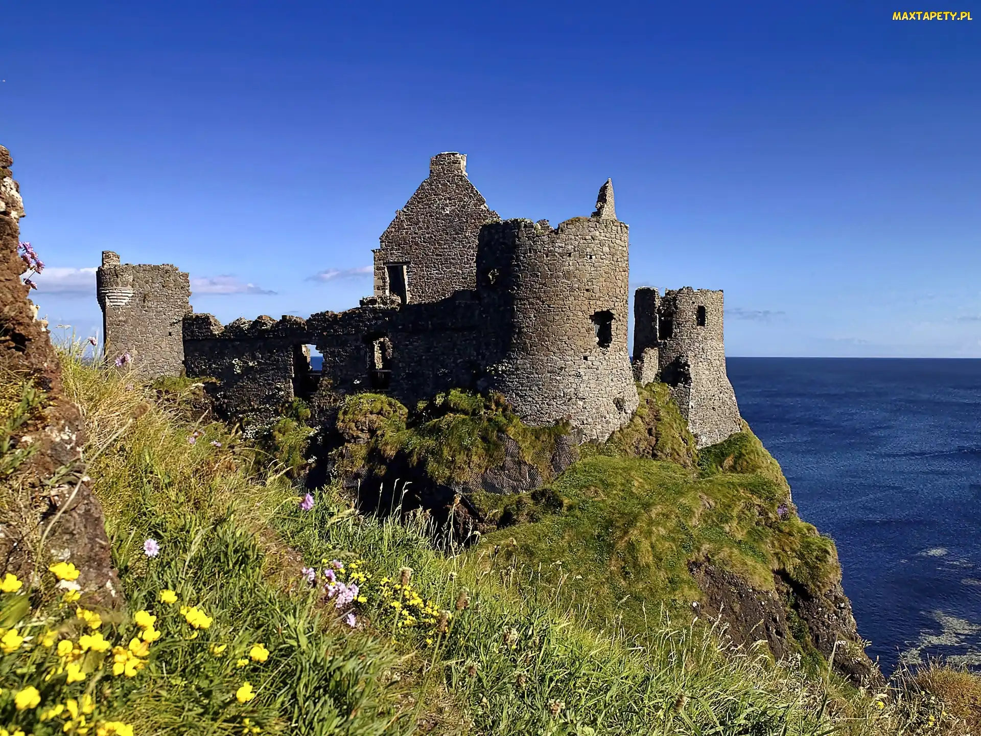 Irlandia, Łąka, Dunluce, Północna, Morze, Zamek, Ruiny