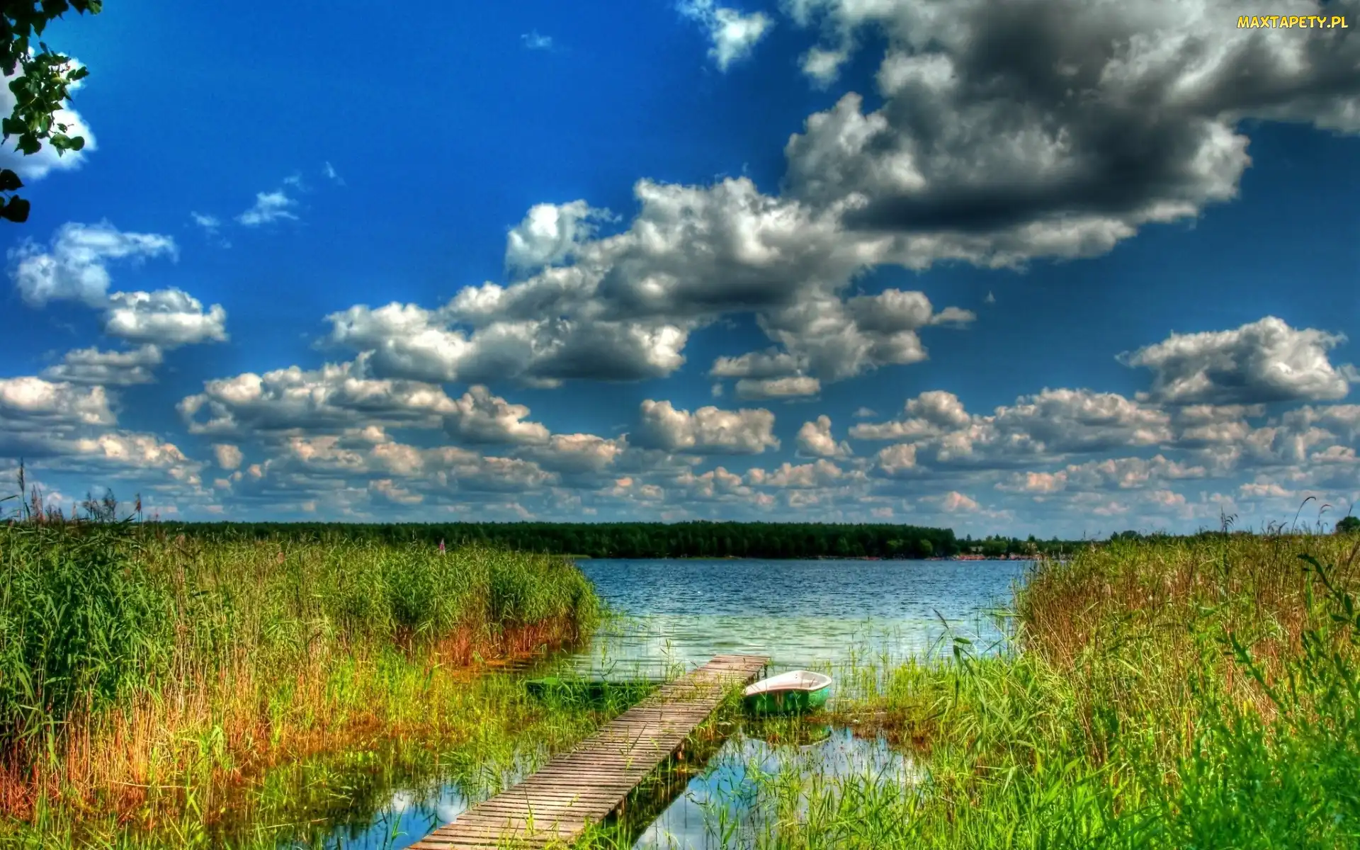 Chmury, Las, Pomost, Jezioro, Łódka, Szuwary