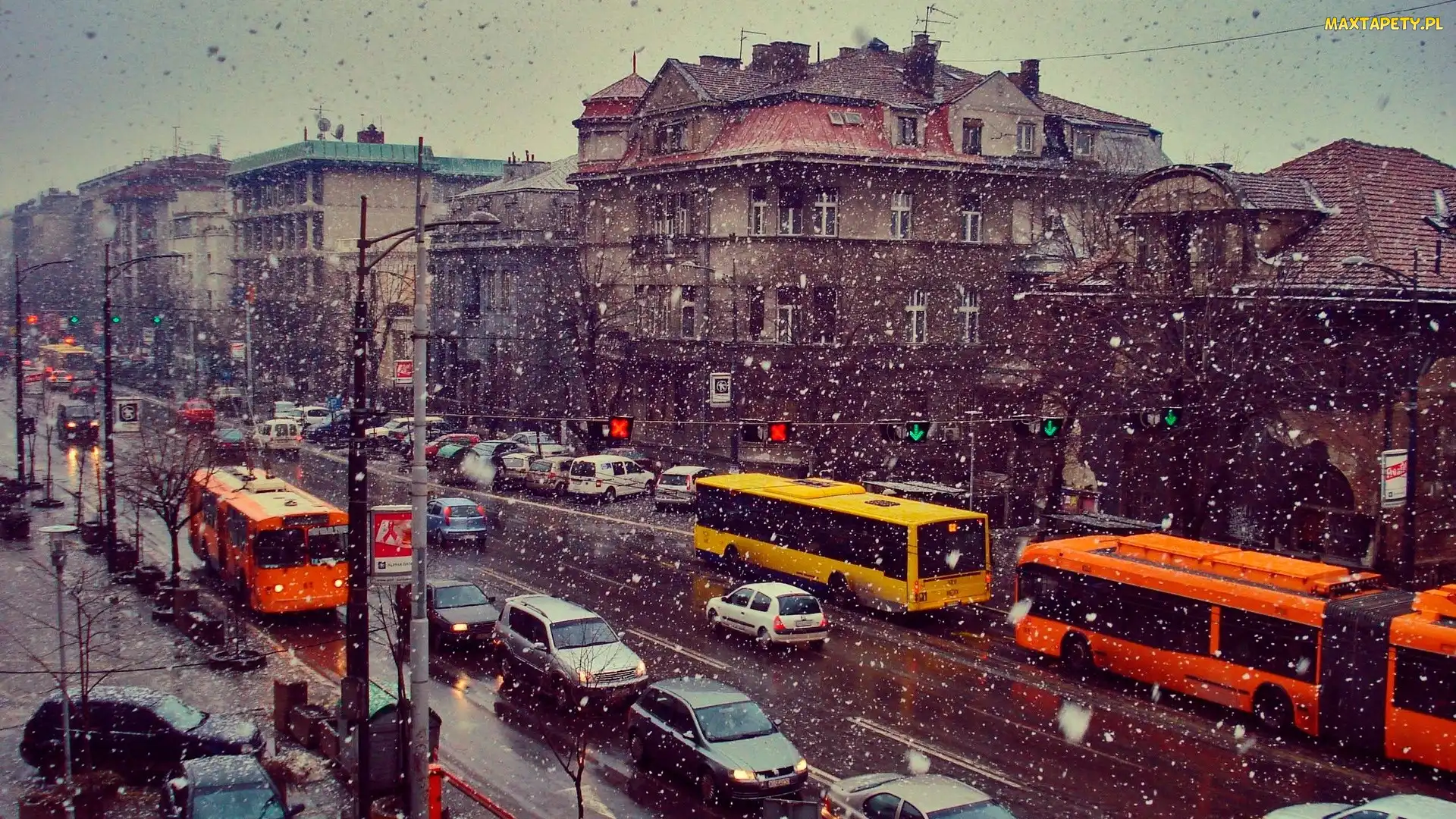 Belgrad, Autobusy, Serbia, Samochody, Padający, Miasto, Śnieg, Zima