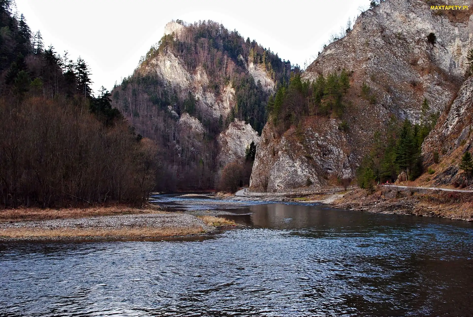 Góry, Dunajca, Las, Przełom, Pieniny